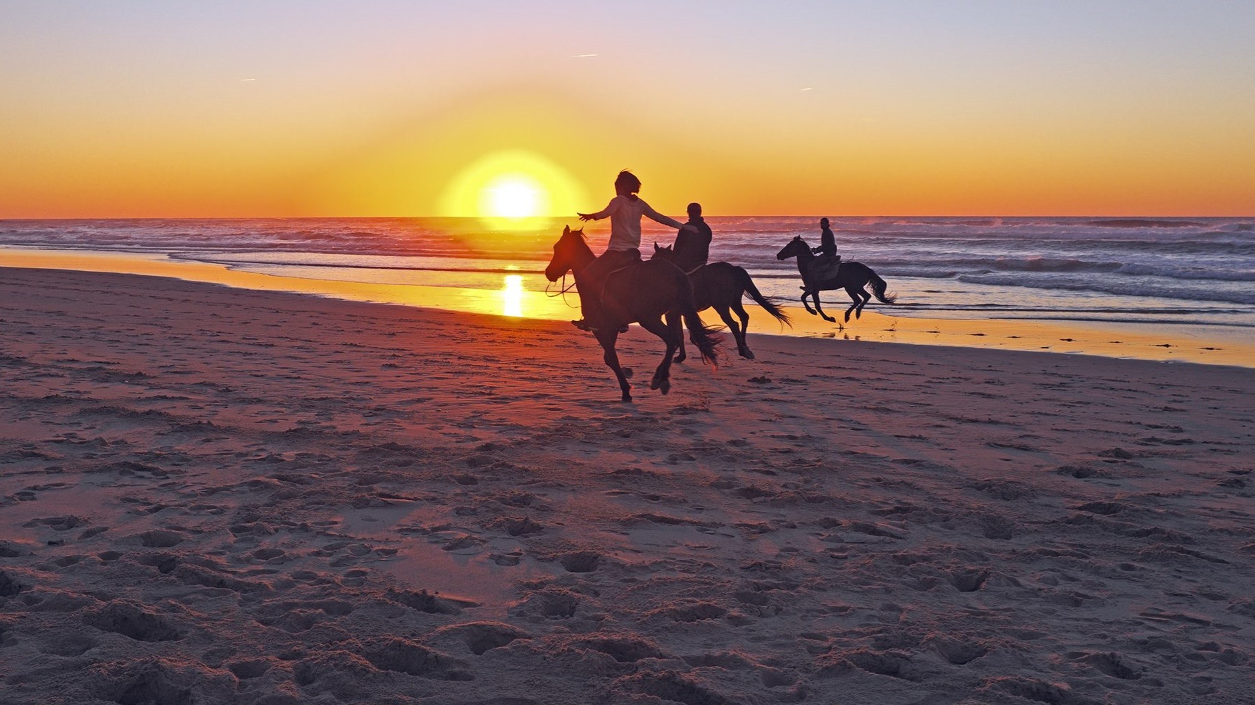 GR - Mykonos - Horseback riding Mykonos.jpg