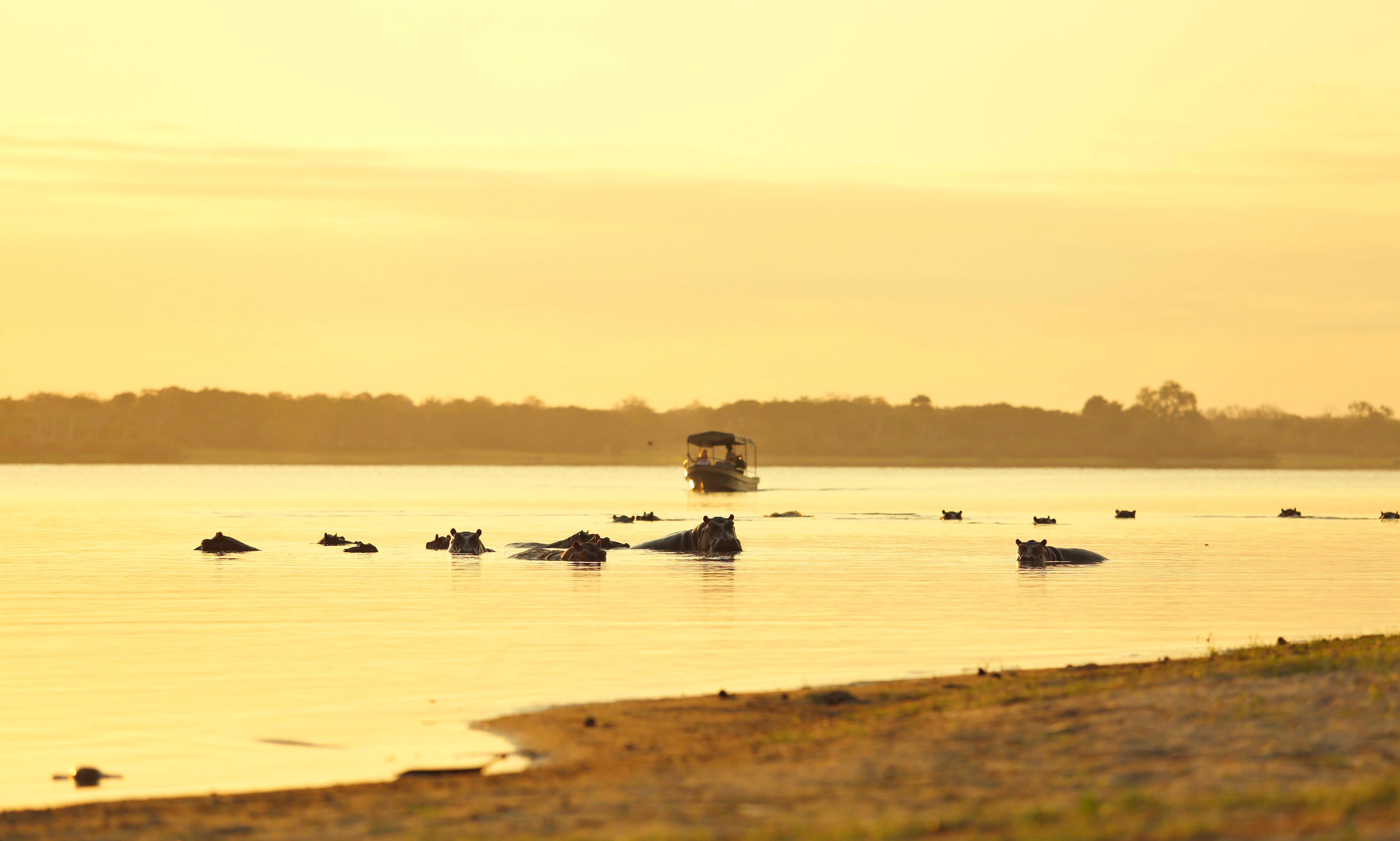 TZ-Roho ya Selous-boat safari.jpg