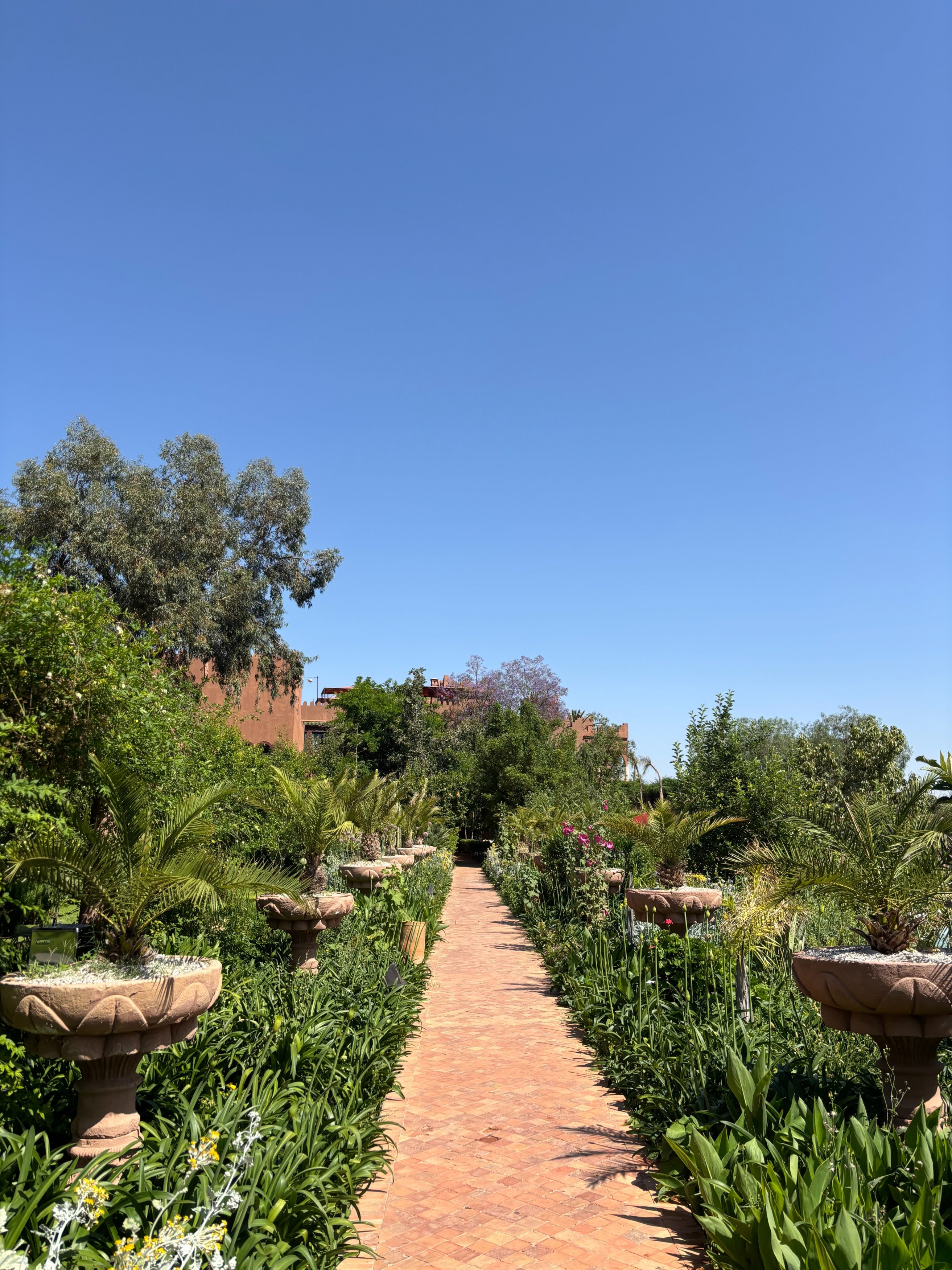 MA - Kasbah Tamadot - Garden.jpeg
