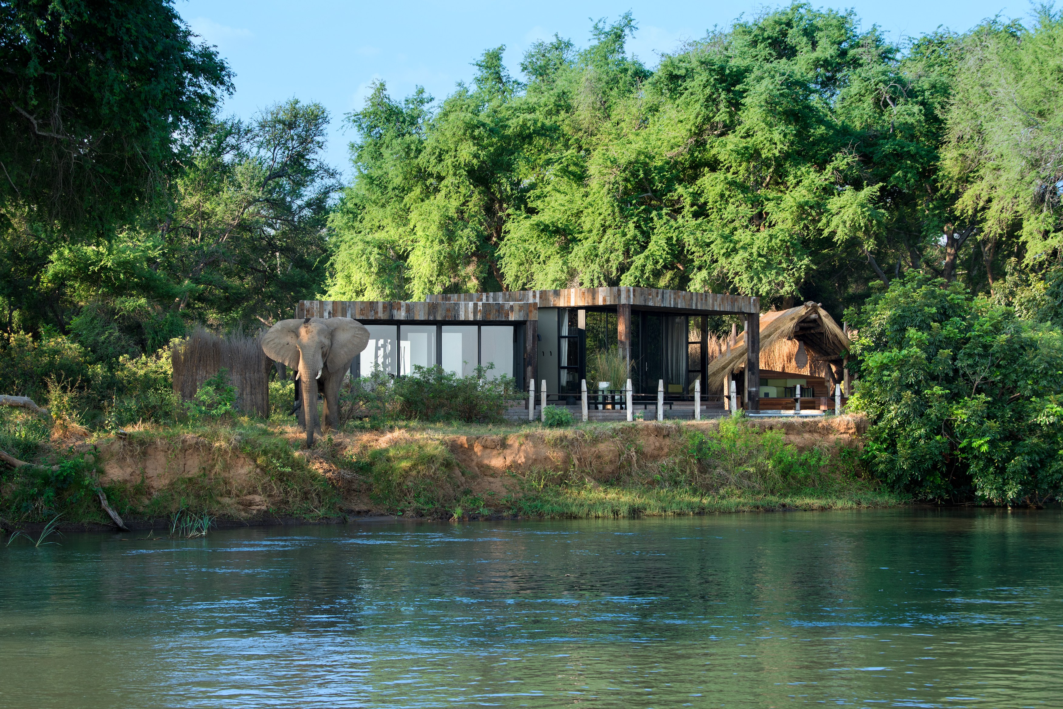 ZM-Lolebezi-room with elephant.jpg
