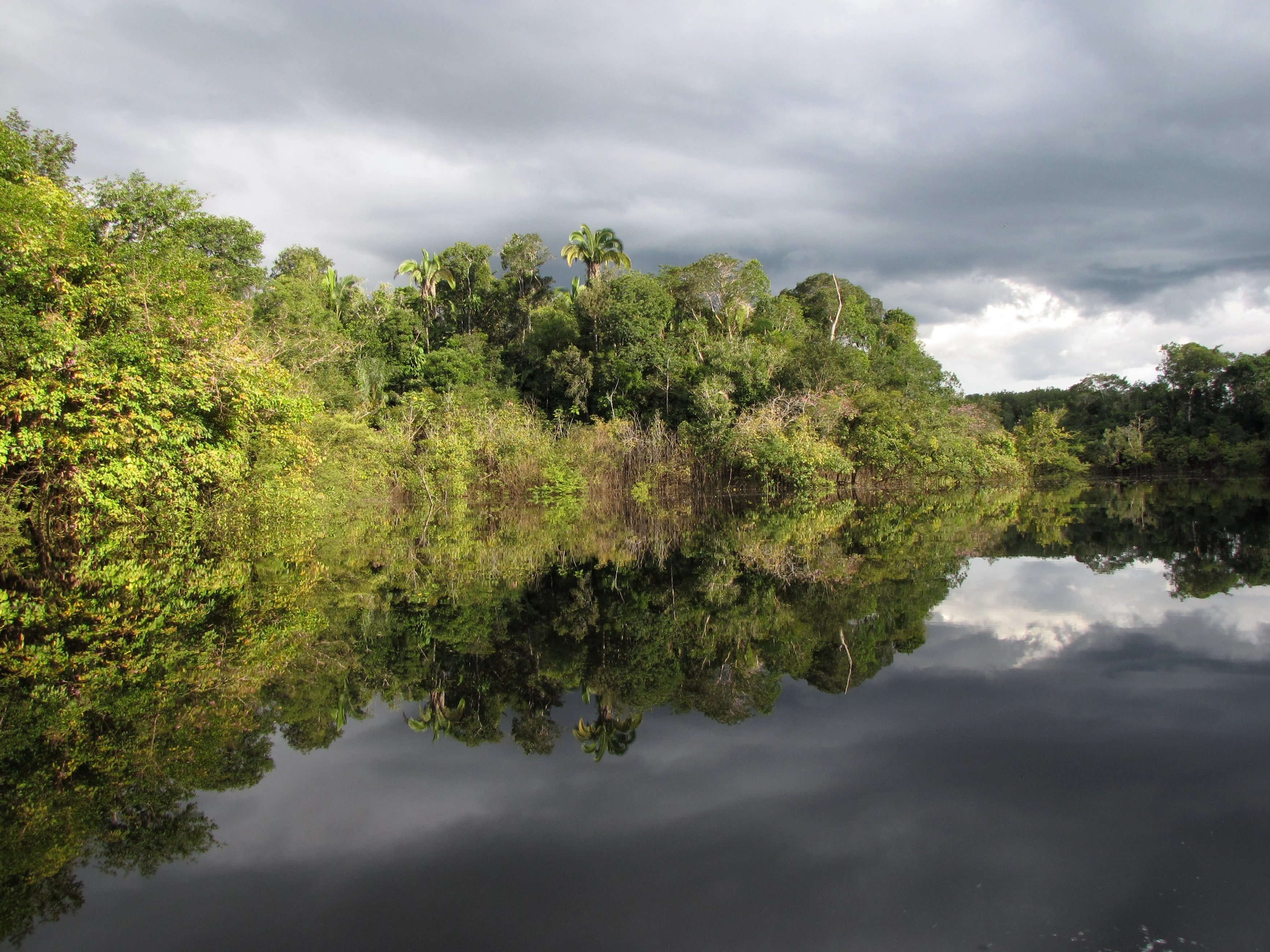 BR - Juma Amazon Lodge - Juma2.webp