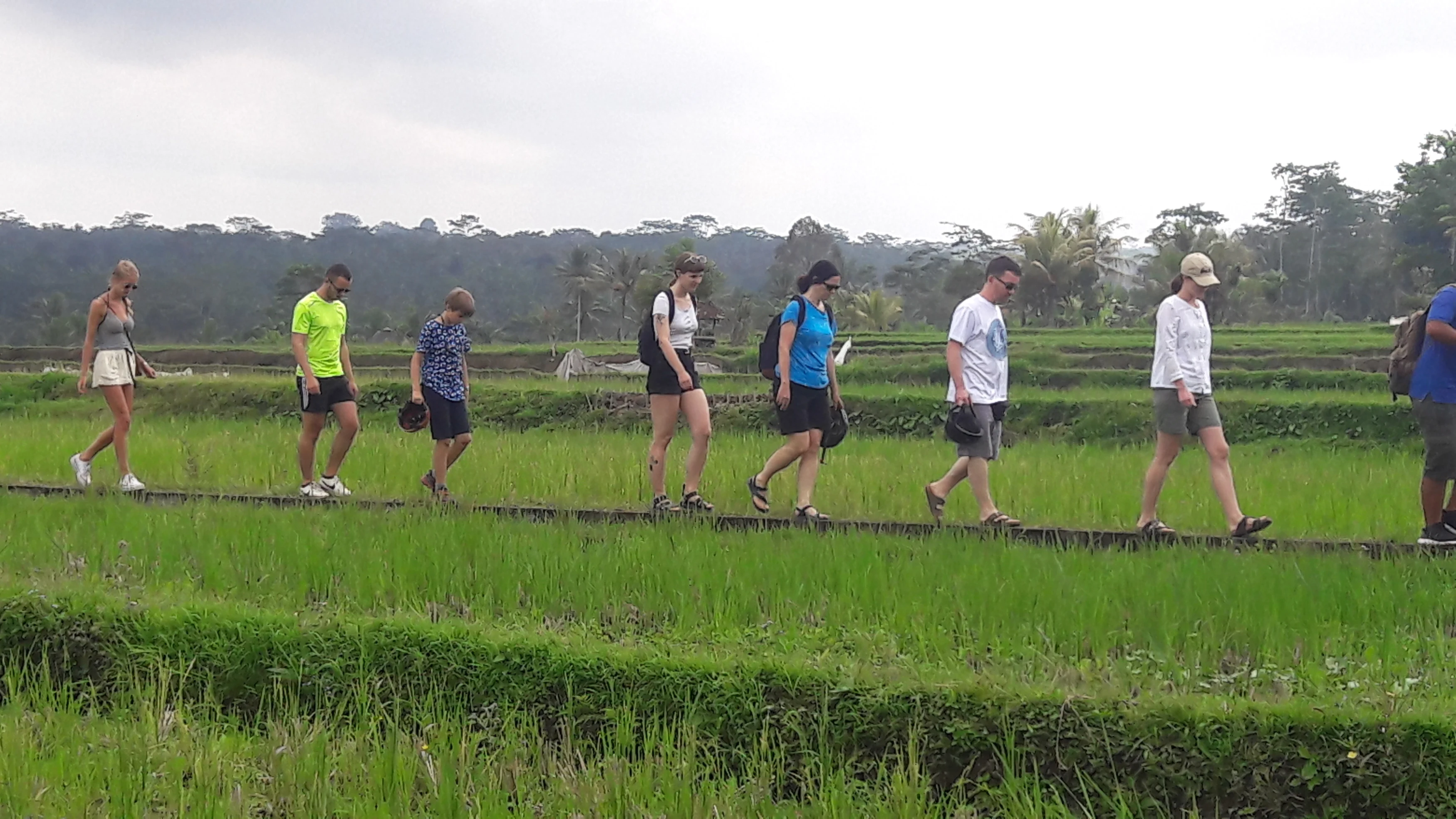 ID - Ubud - Cycling tour (3).webp