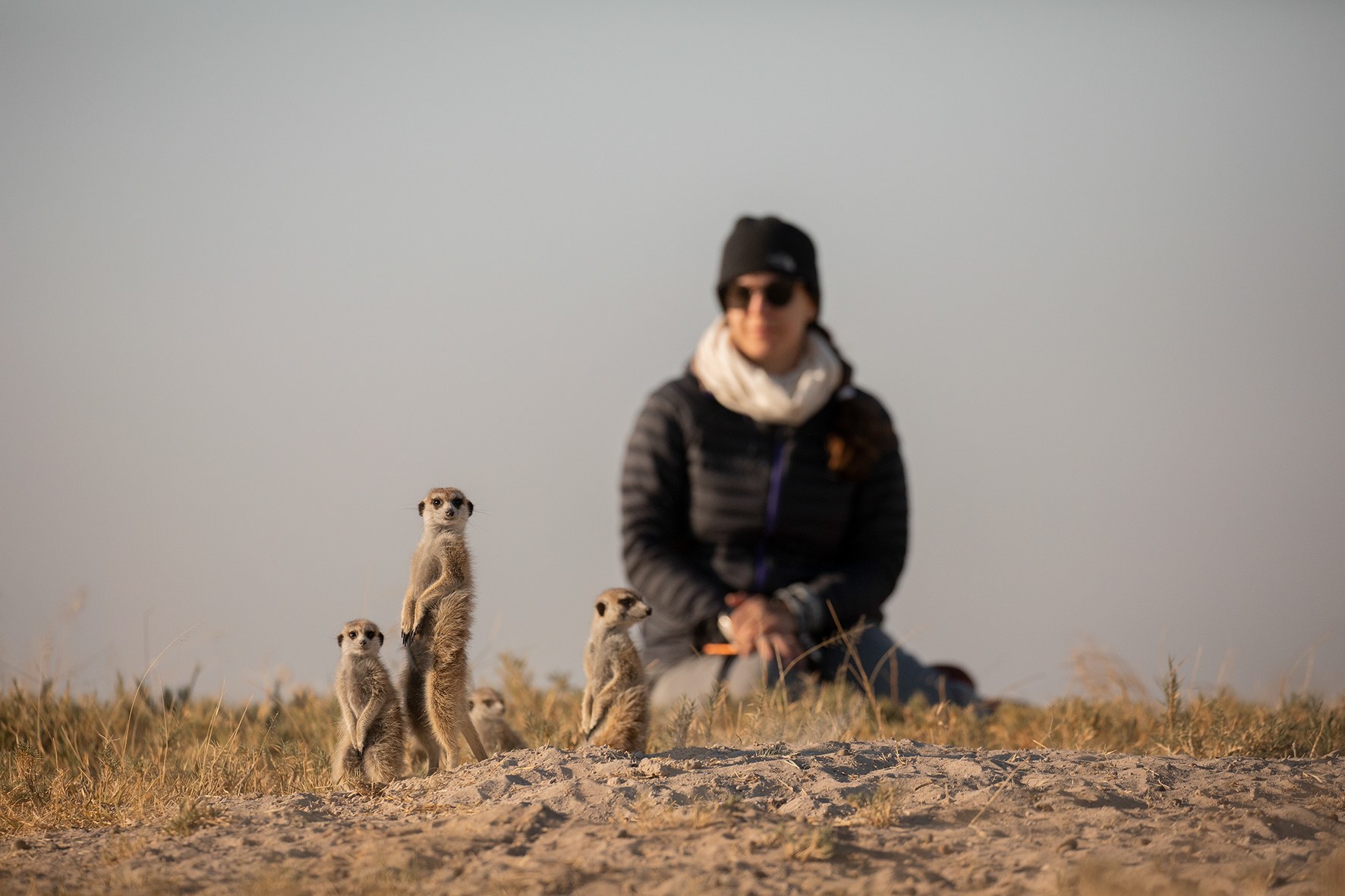 BW-San-Camp-03 Meerkat experience.jpg