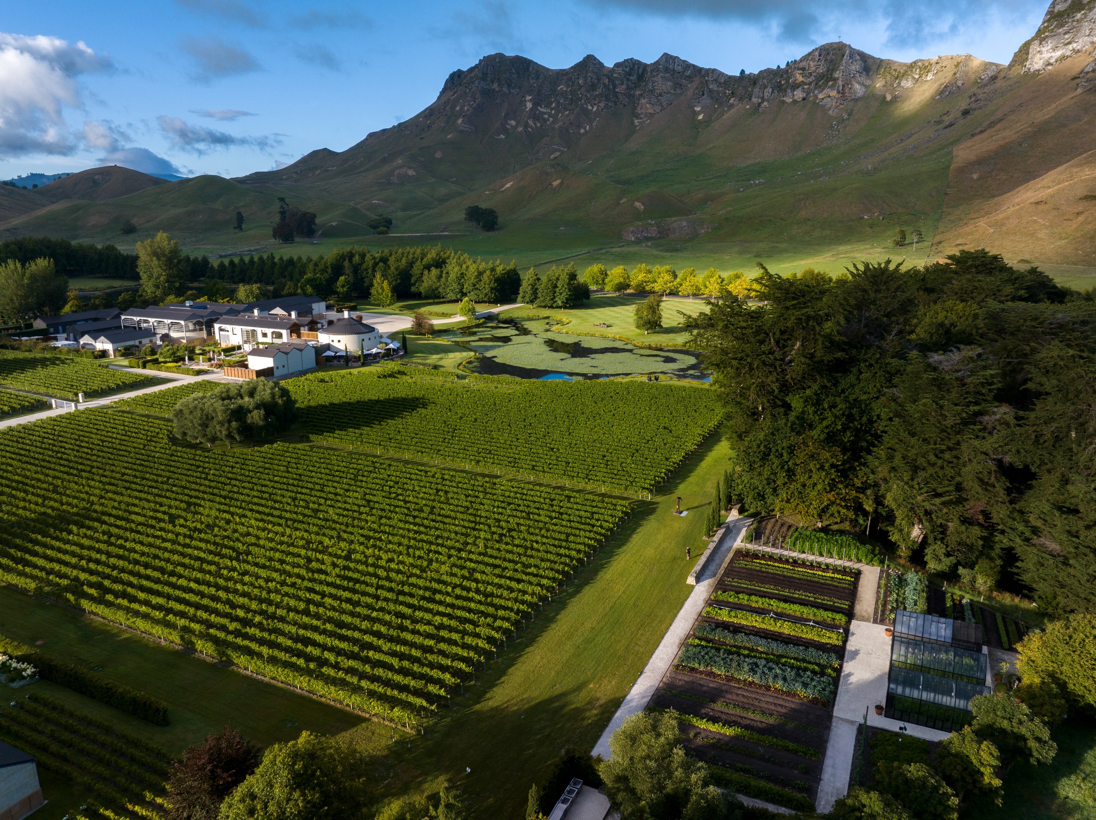 NZ-Accommodatie-Craggy-Range-Aerial.JPG