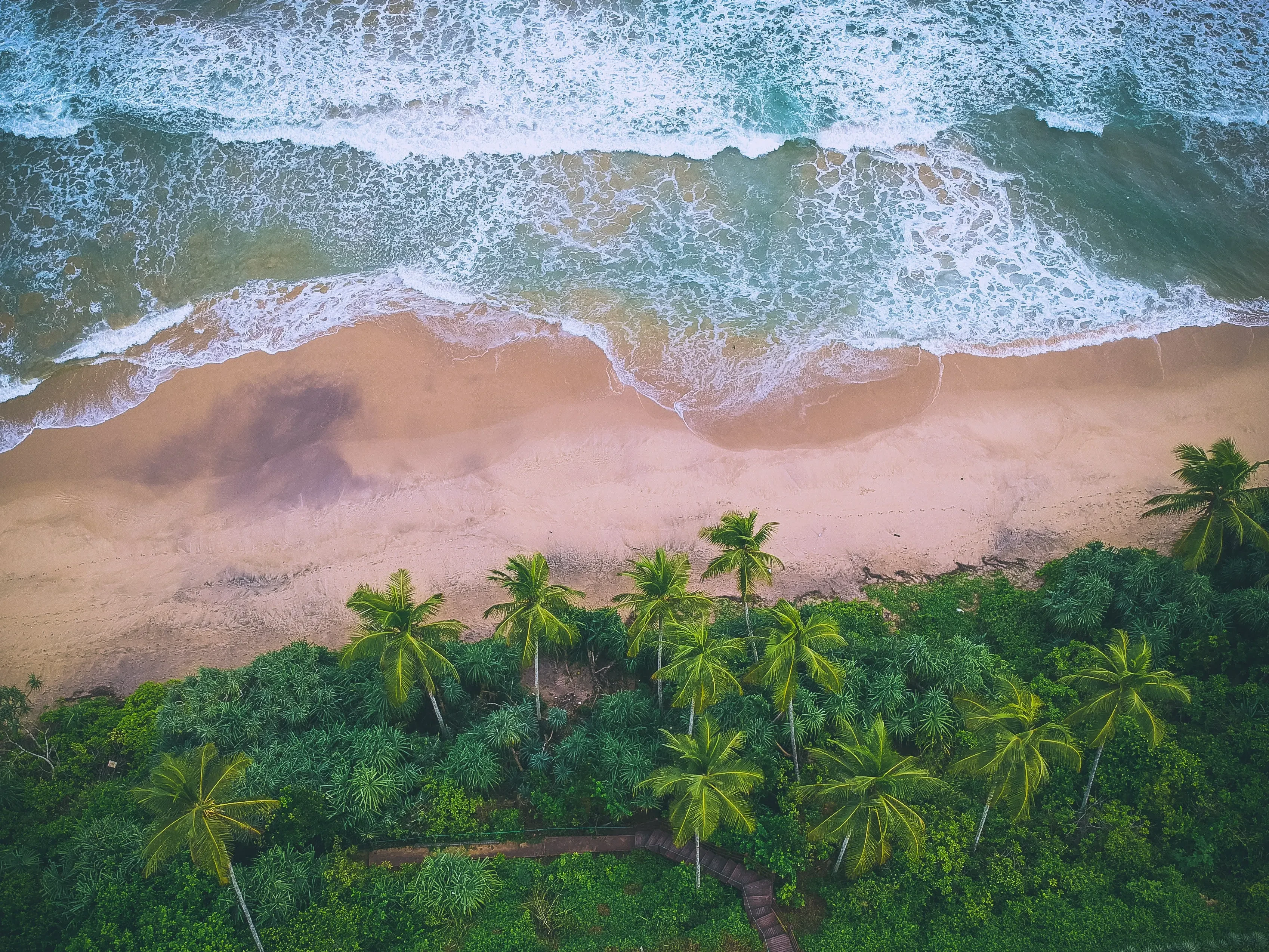 LK - Algemeen - beach & palm trees areal view.webp