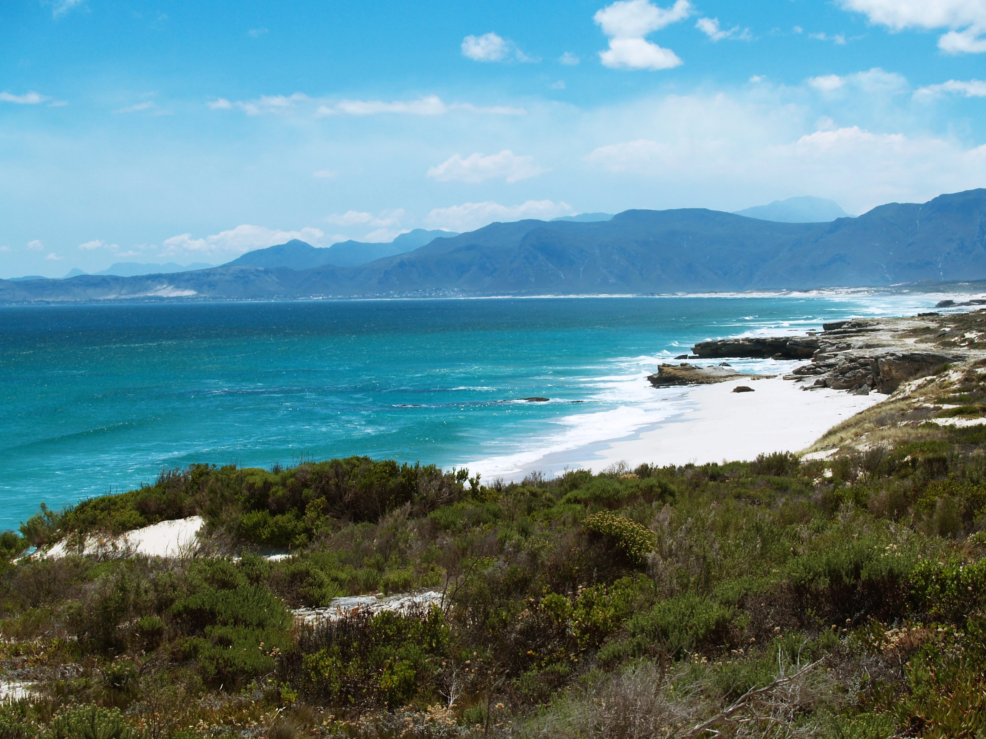 ZA-Zuid-De Plaat Strand (1).webp