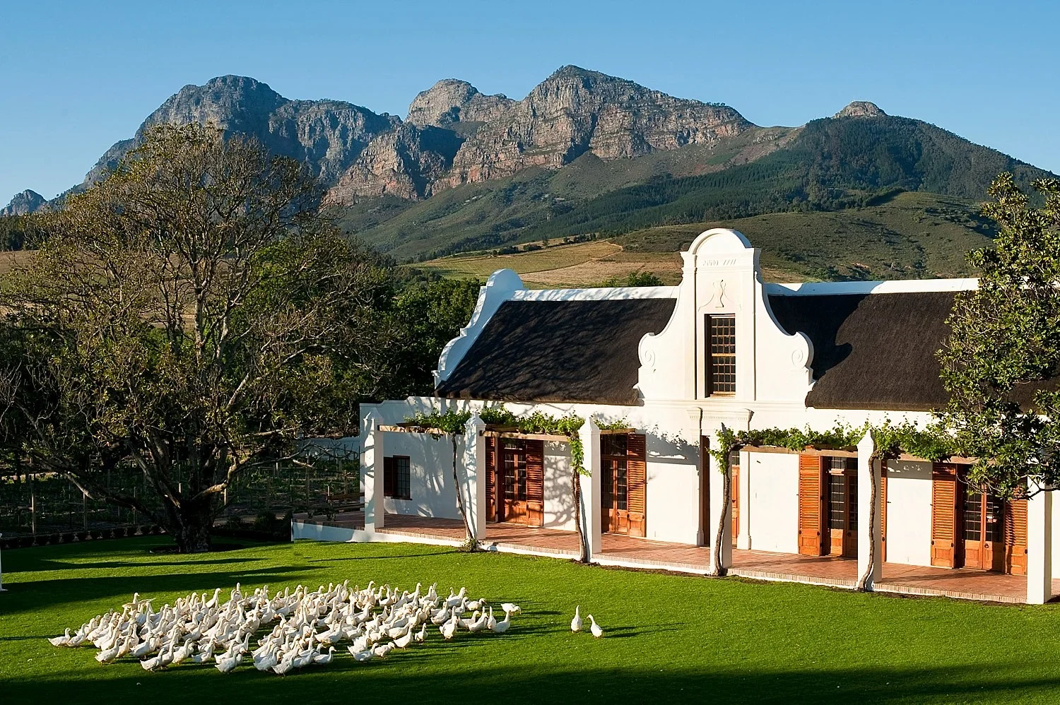 ZA - Babylonstoren - Exterior.webp