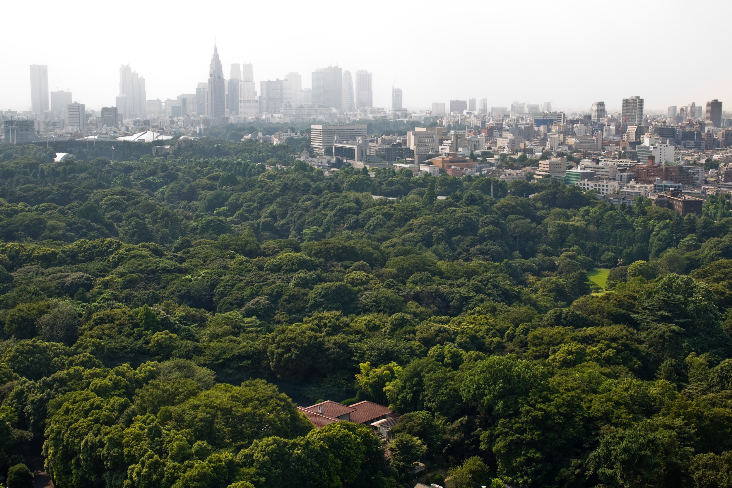 JP - Tokyo cityscape over the park.jpg