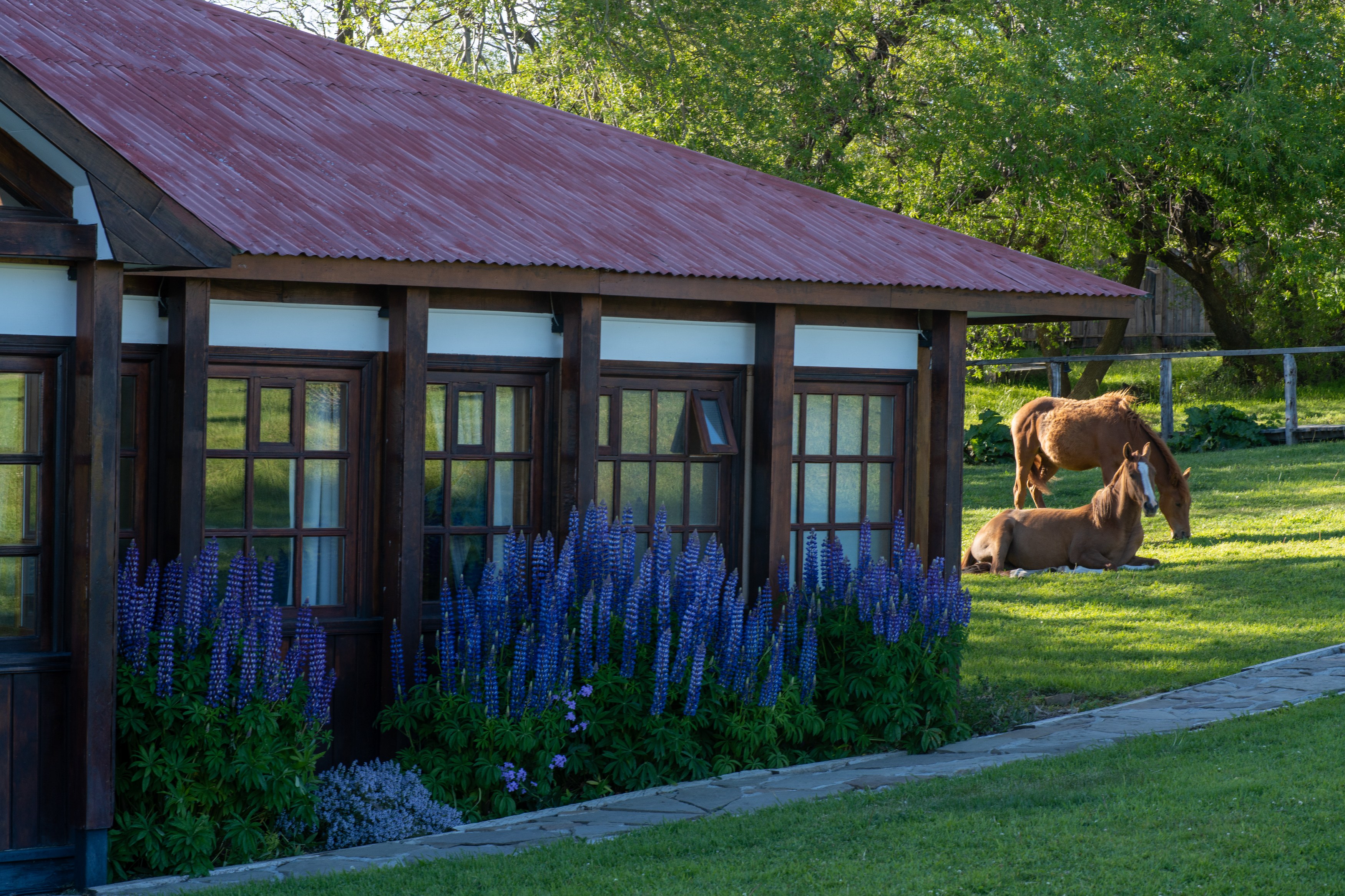 CL-Estancia-Cerro-Guido-Exterior4.jpg