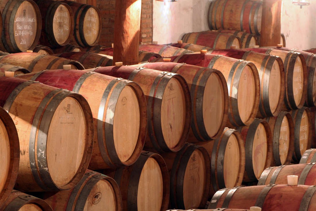 CL-Excursie-13448-Colchagua-valley-viu-manent-beleven-compressed.jpg
