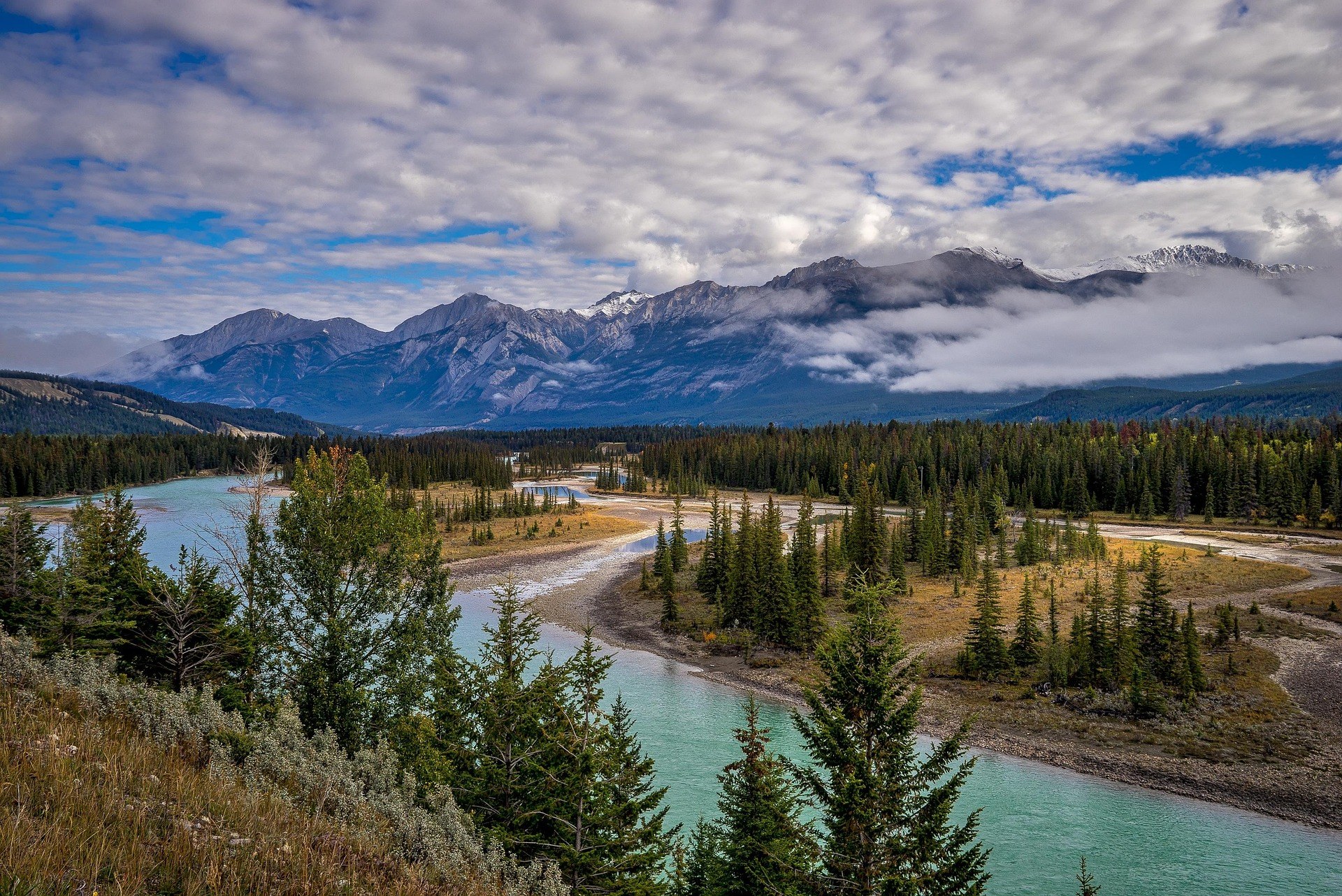 CA - Eco Jasper Tour National Park.jpg