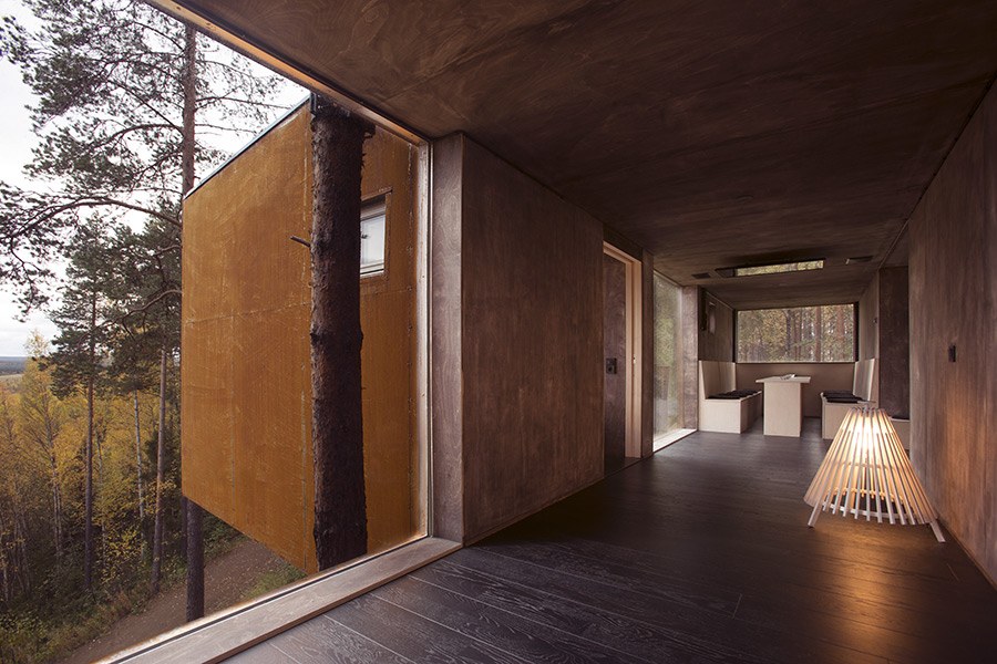 SE - Accommodatie - TREEHOTEL - Dragon Fly 6 .jpg