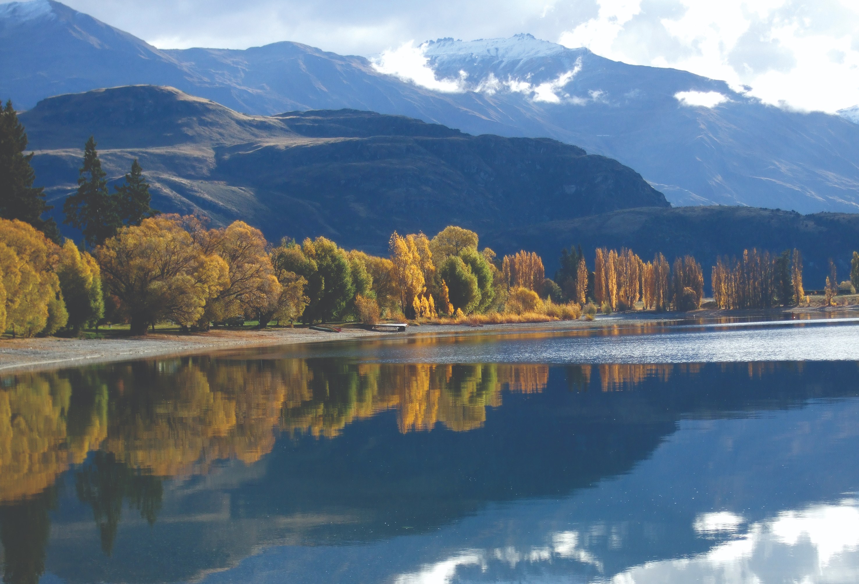 NZ - Wanaka - Nature (1).jpg