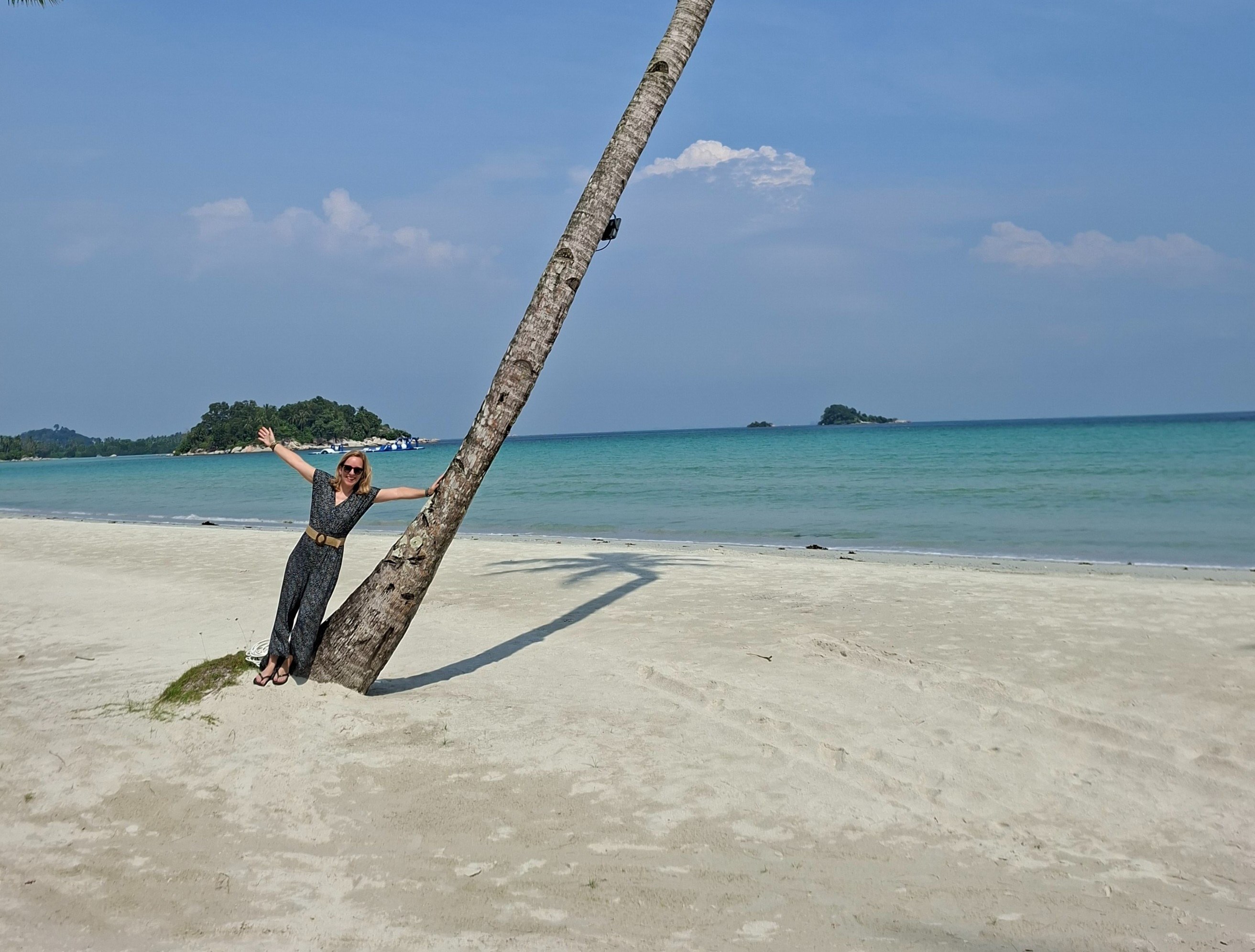 ID_-_accommodatie_-_Sanchaya_-_Marloes_palmtree.jpg