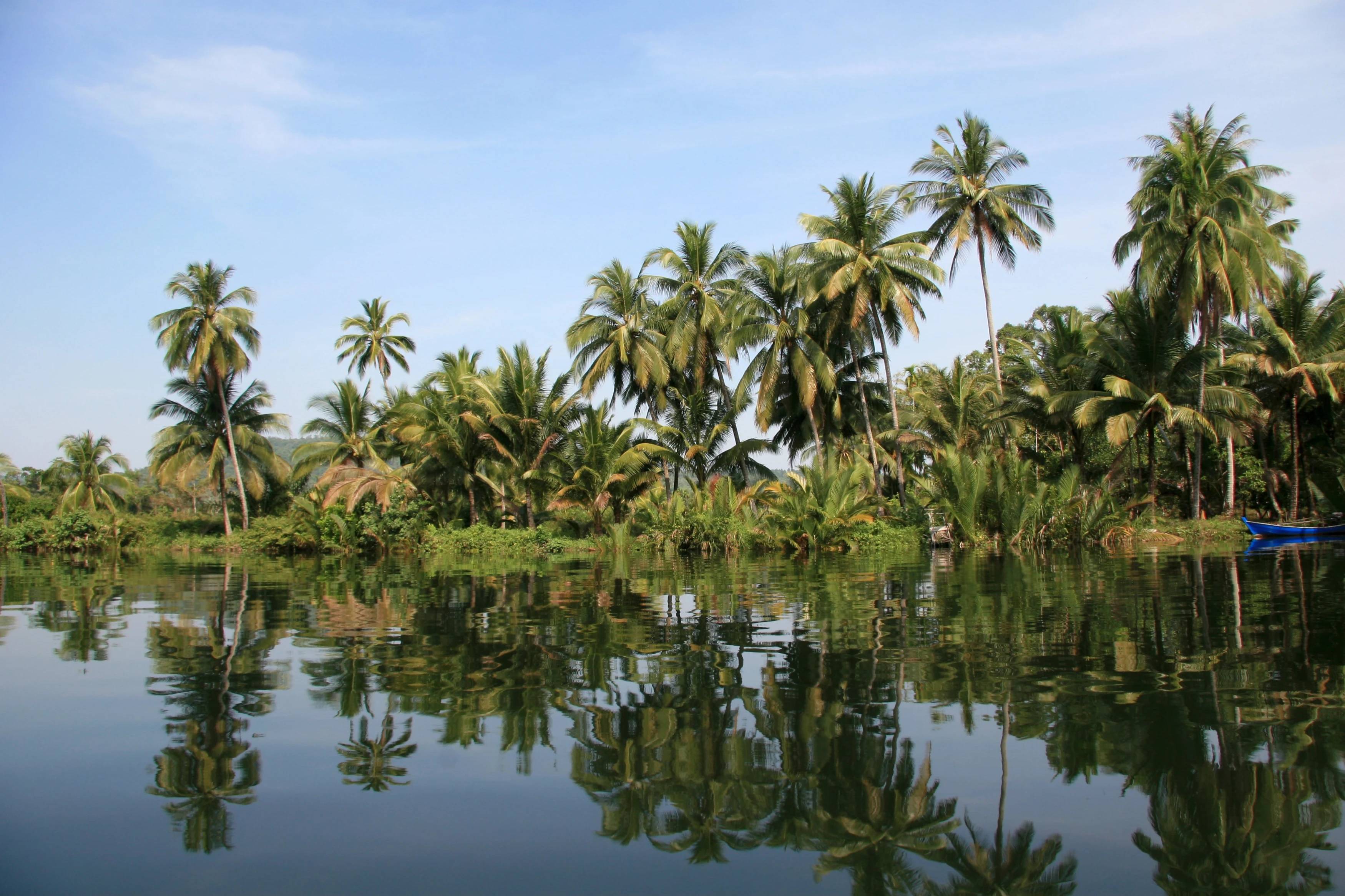 KH - Canvas & Orchids Retreat - Rivers Eco Lodge - surrounding, river & palm trees.webp