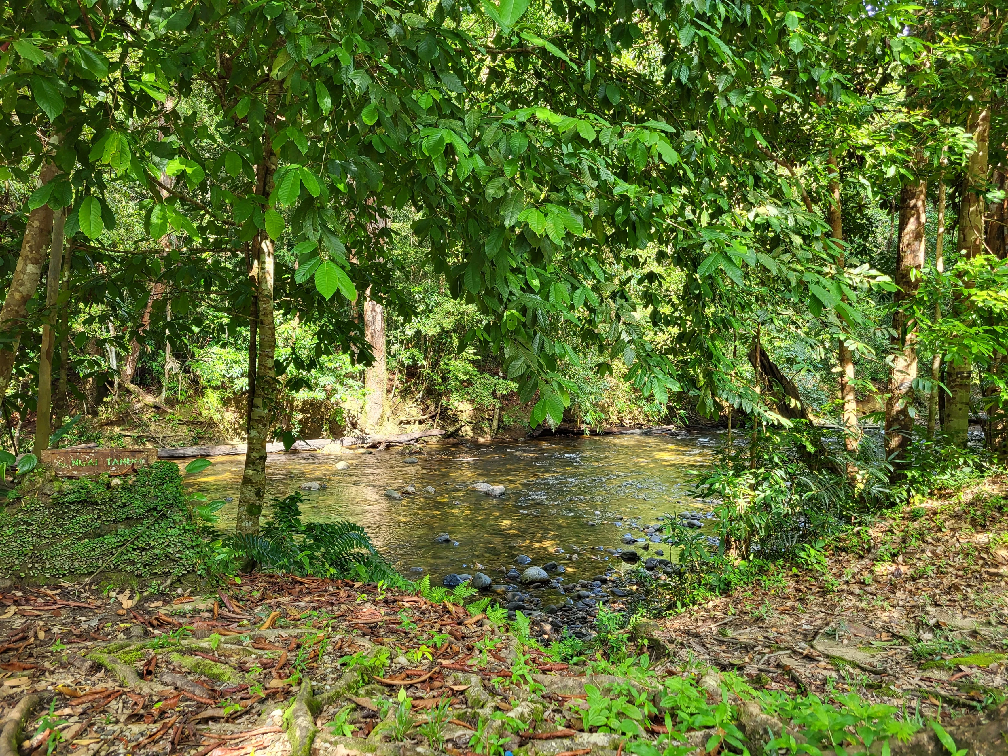 SI - E&O - Taman Negara rivier.webp
