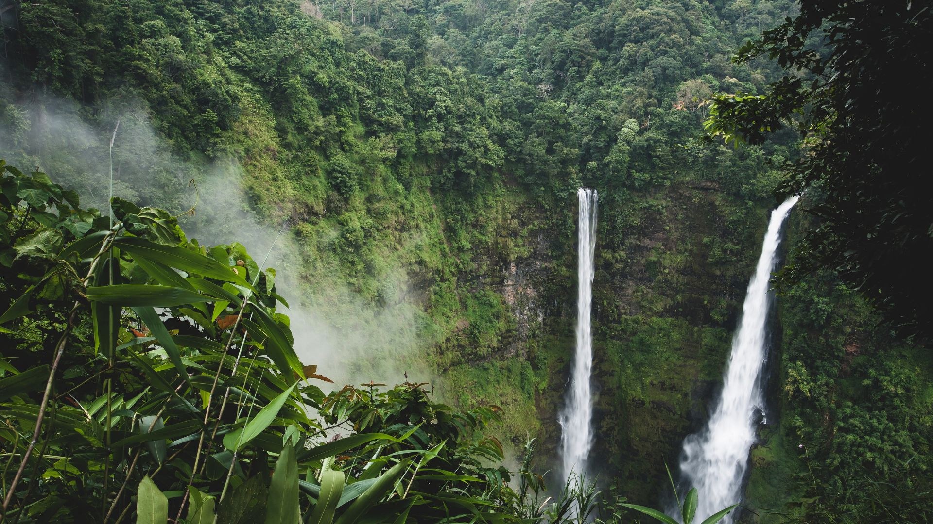LA-Bolaven-plateau-Tad-Fane-Waterfalls.jpg
