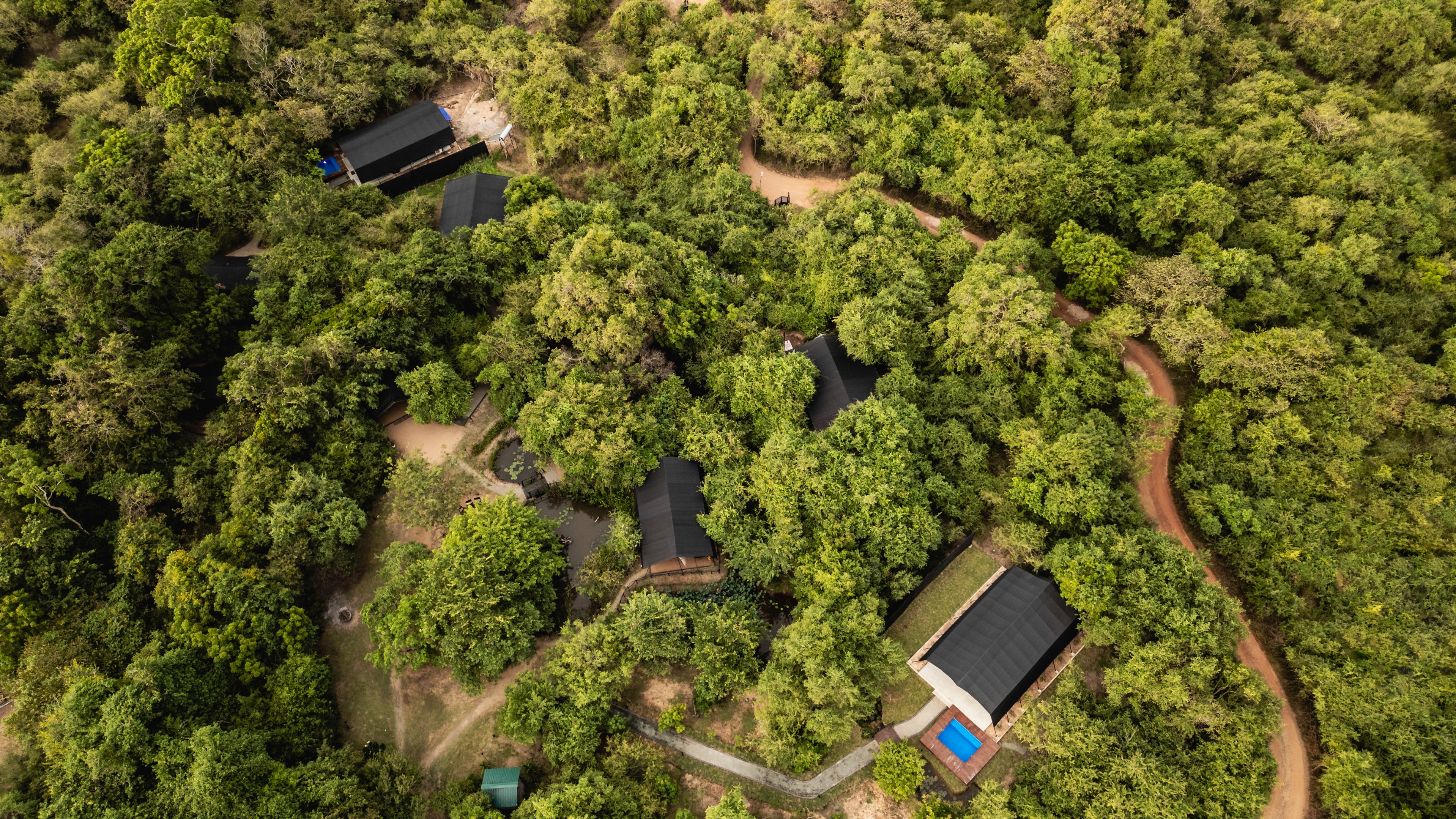 LK- Leopard trails wilpattu- Pool suites (5).jpg