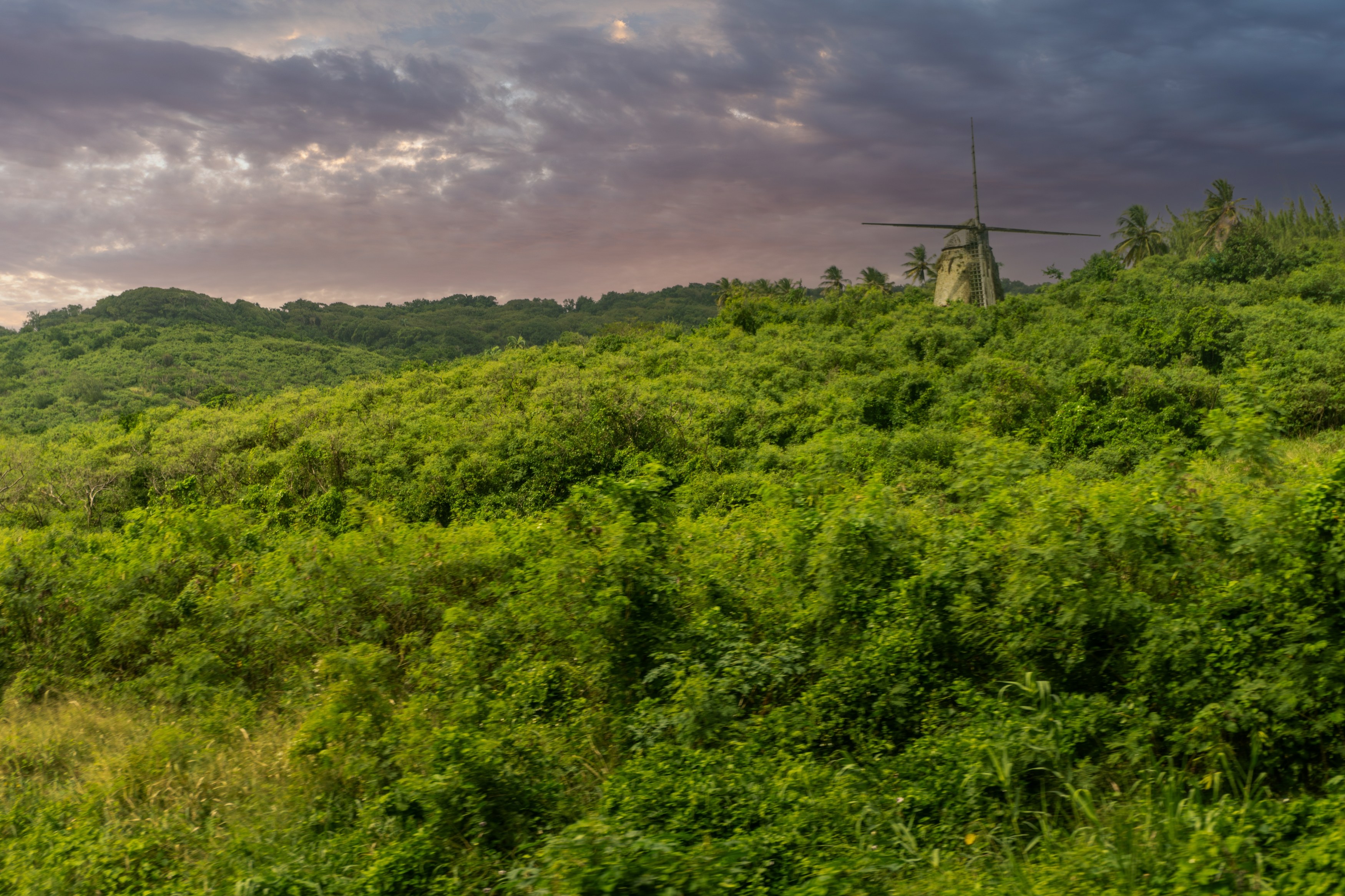 BB-Lewis Windmill-Shutterstock.jpg