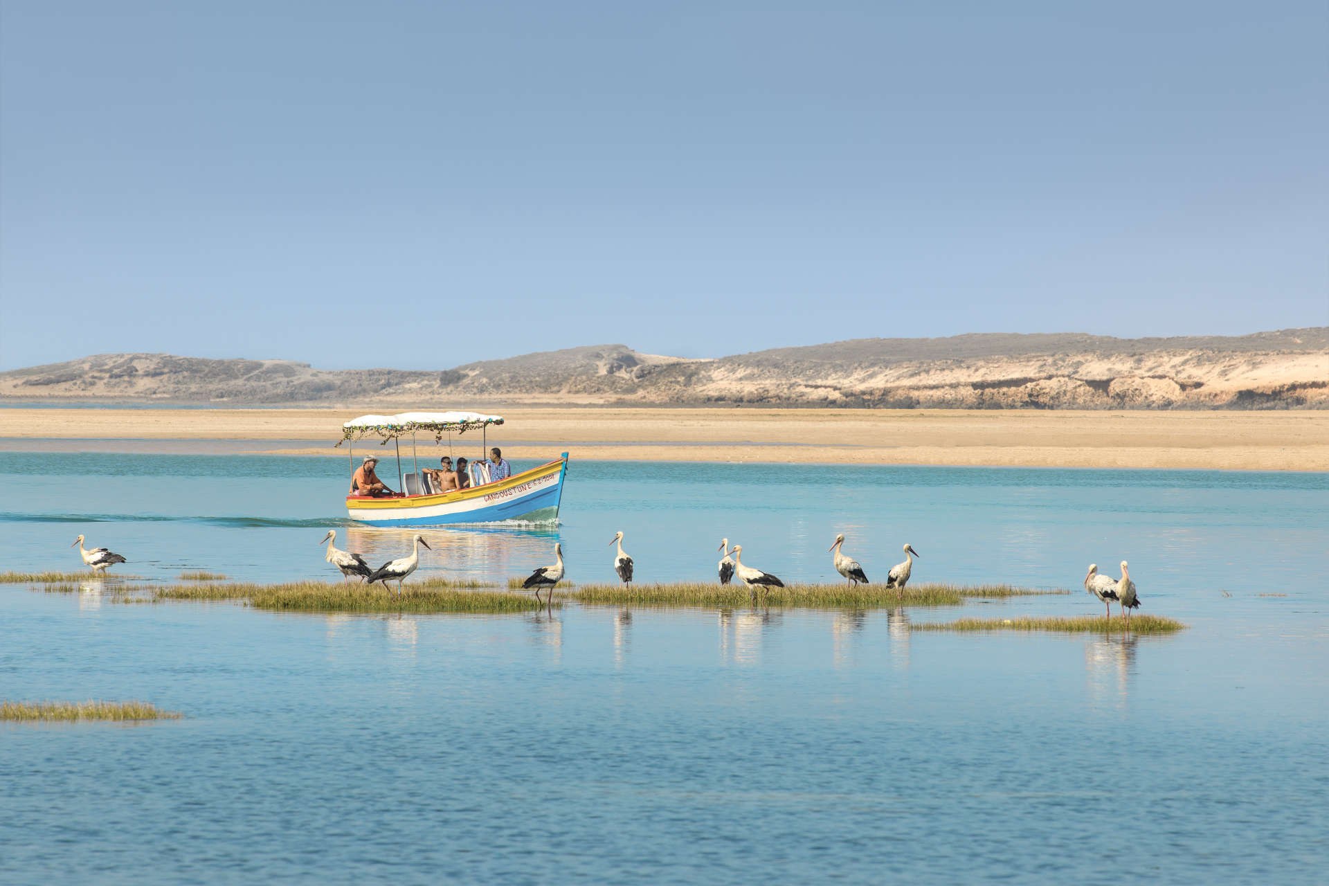 MA-Excursie-Boottocht-lagune-header.jpg