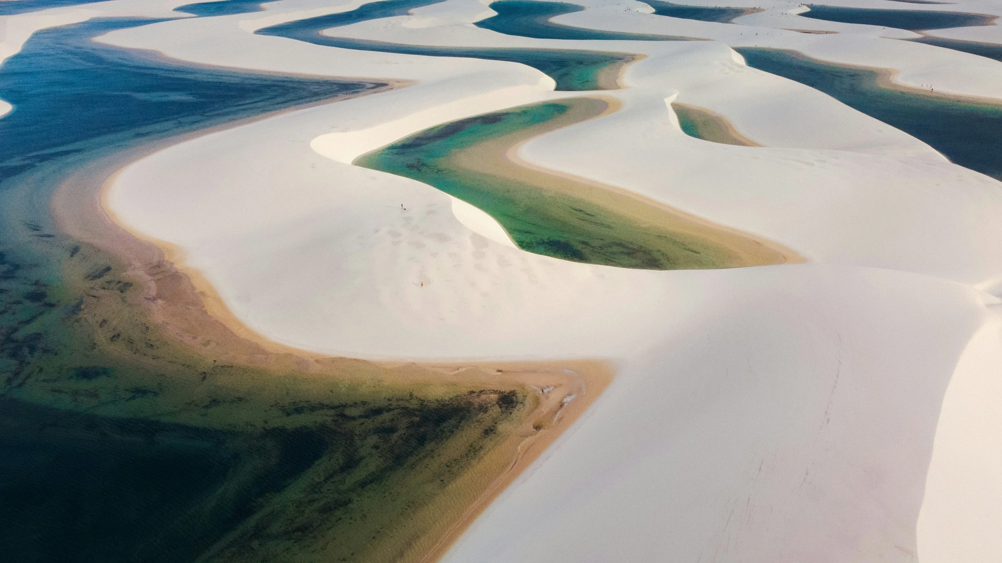 OIA LENCOIS.webp
