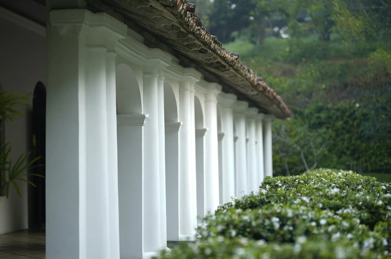 LK-Adigars Manor-Pillars.webp