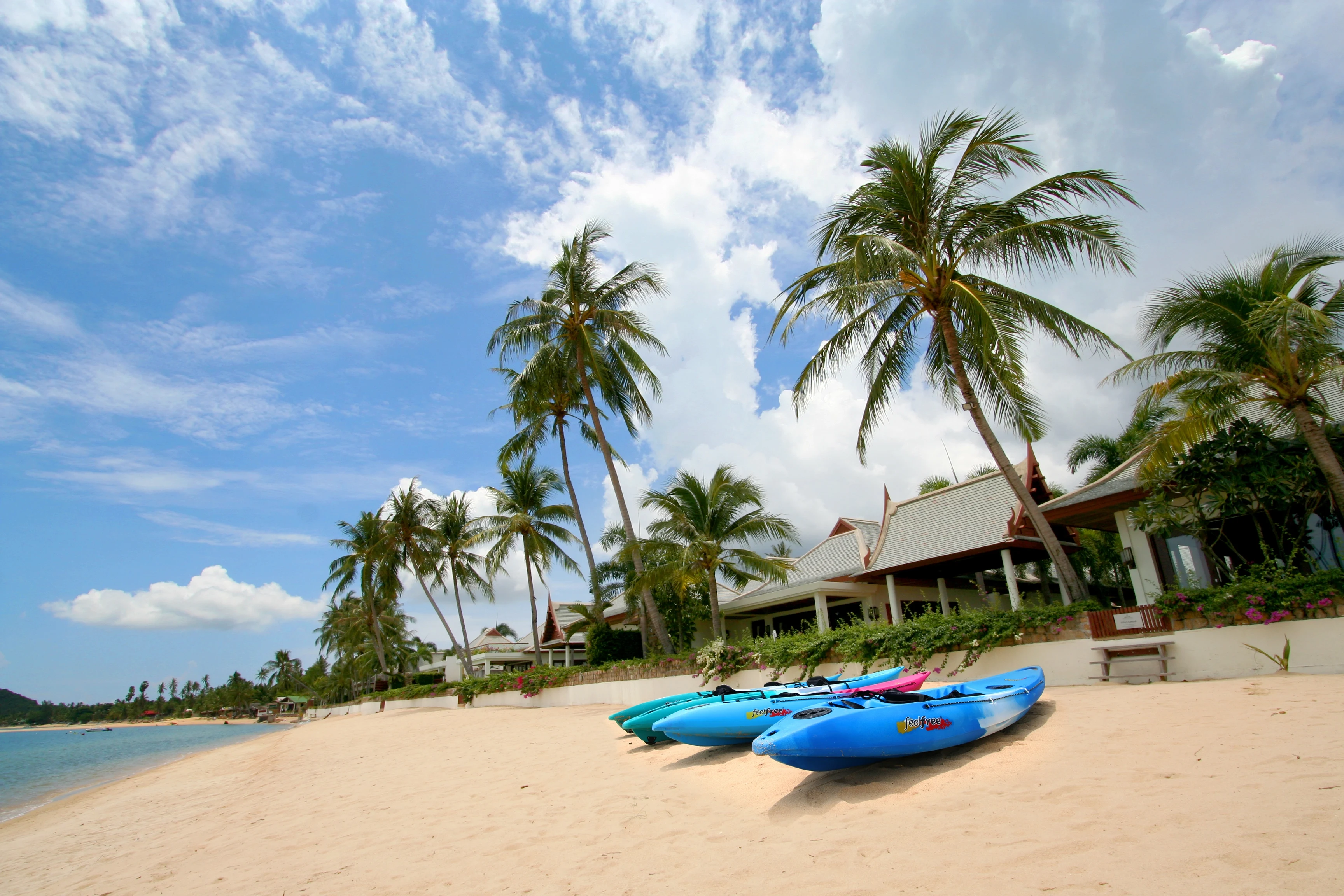 TH - Miskawaan - Kayaks.webp