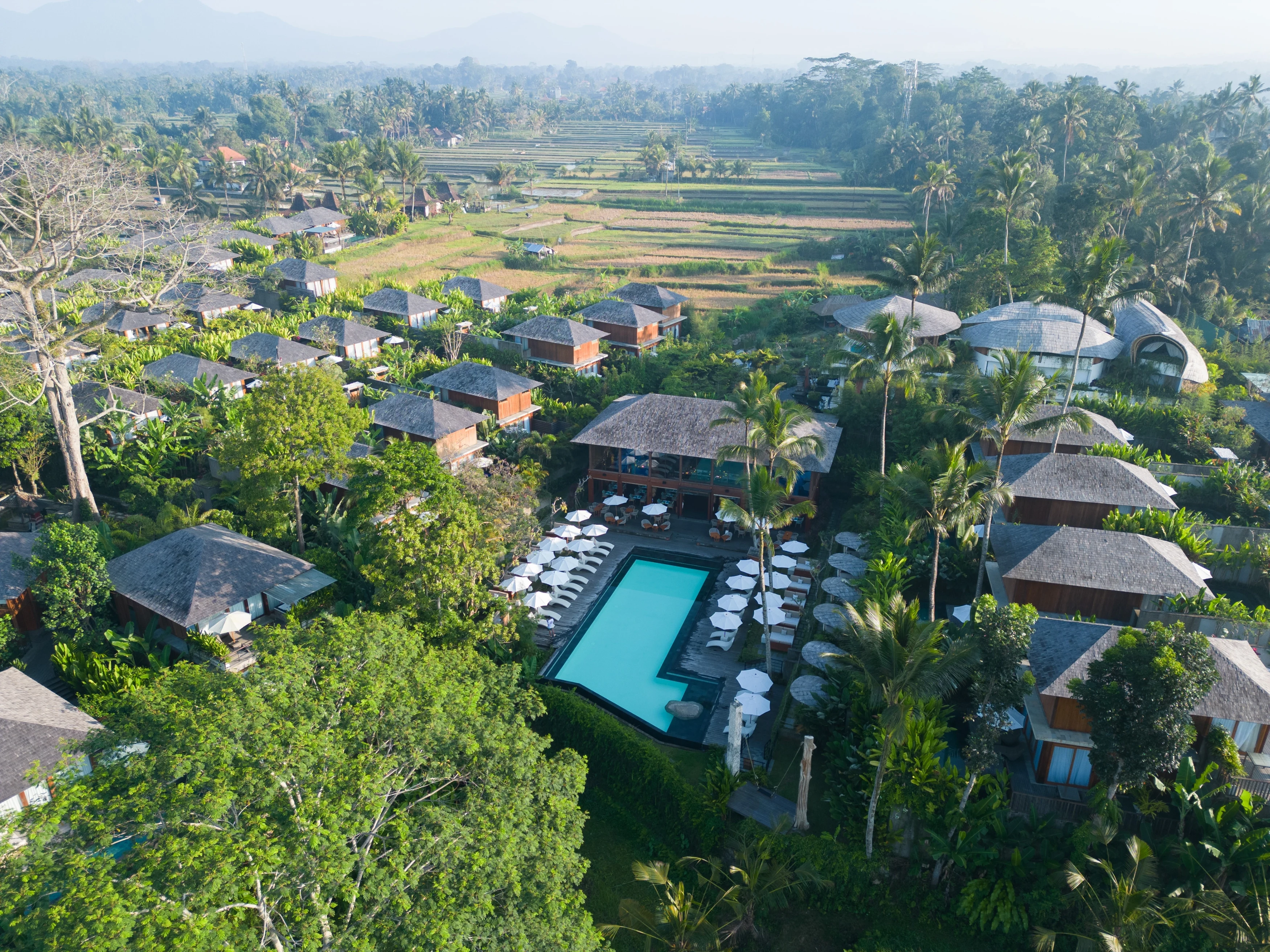 ID - Kappa Senses - Kelapa Drone.webp