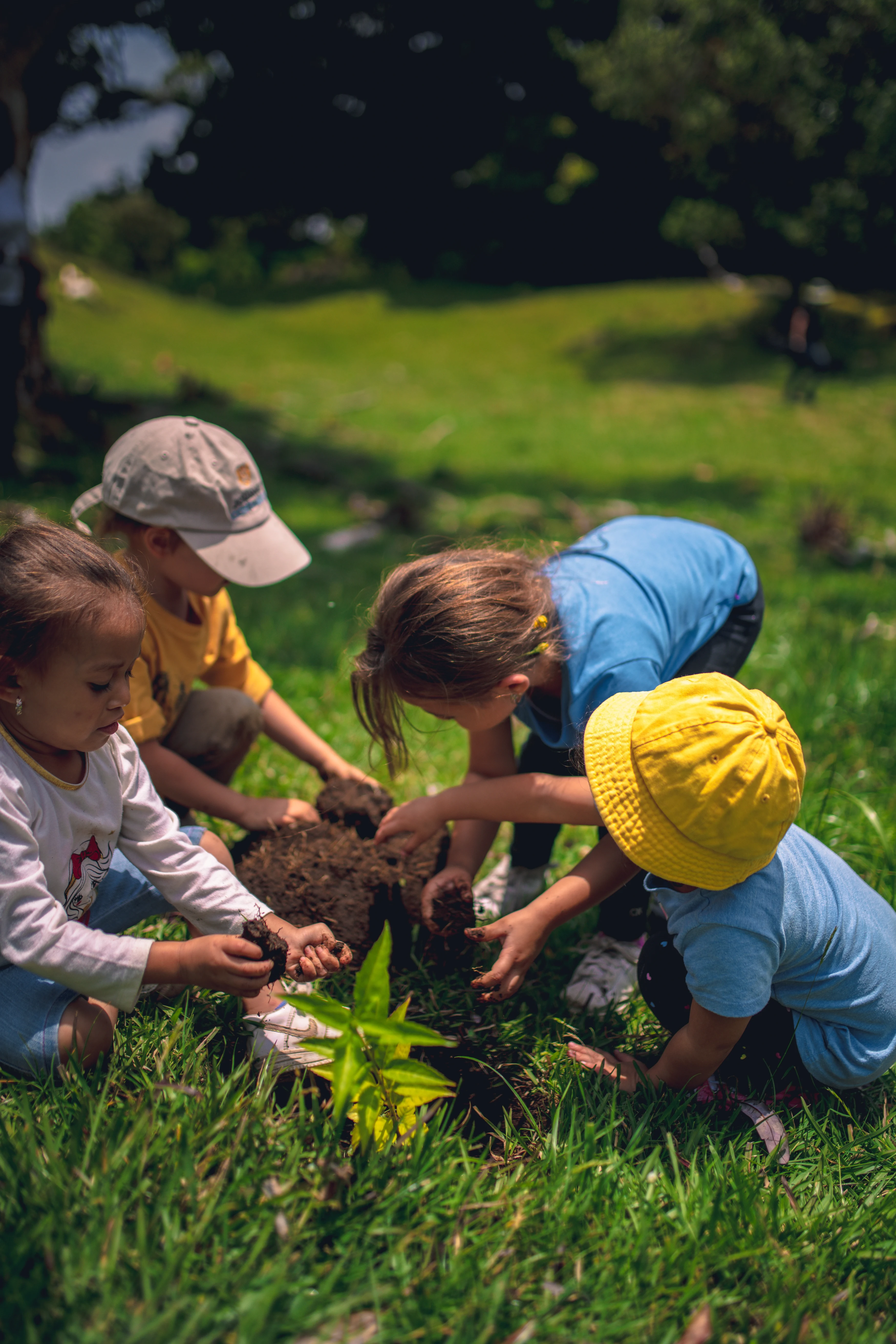 CR-Bosque Vivo-Kids.webp