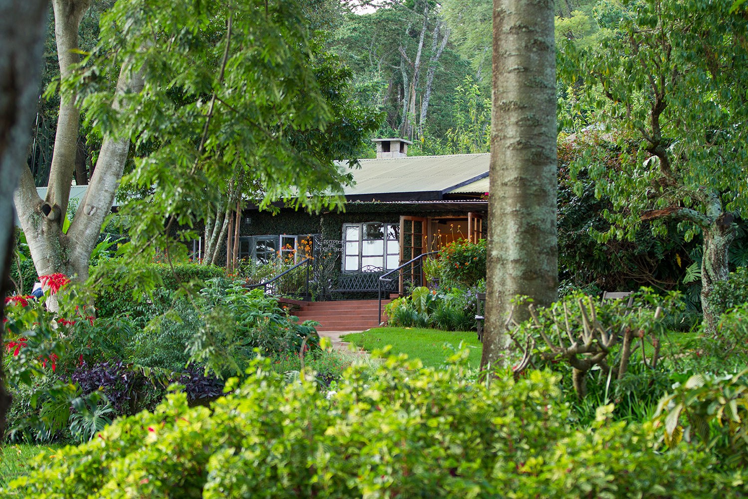 TZ-Gibbs Farm-cottage garden.jpg