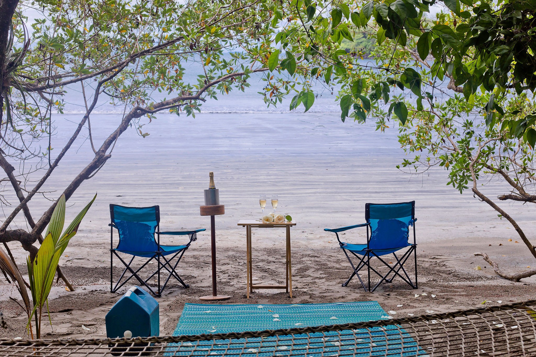 PA-accommodatie-Isla-Palenque-Beach-Meal.JPG