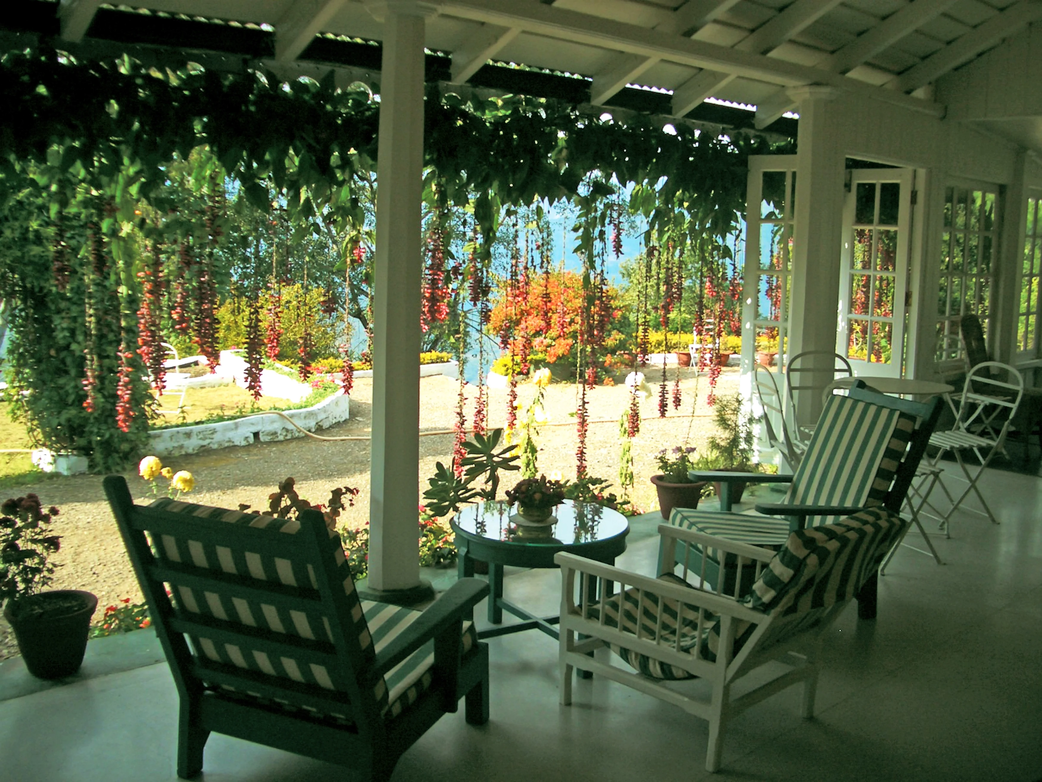 IN - Glenburn Tea Estate & Botique Hotel -Winter Blooms on the Verandah.webp