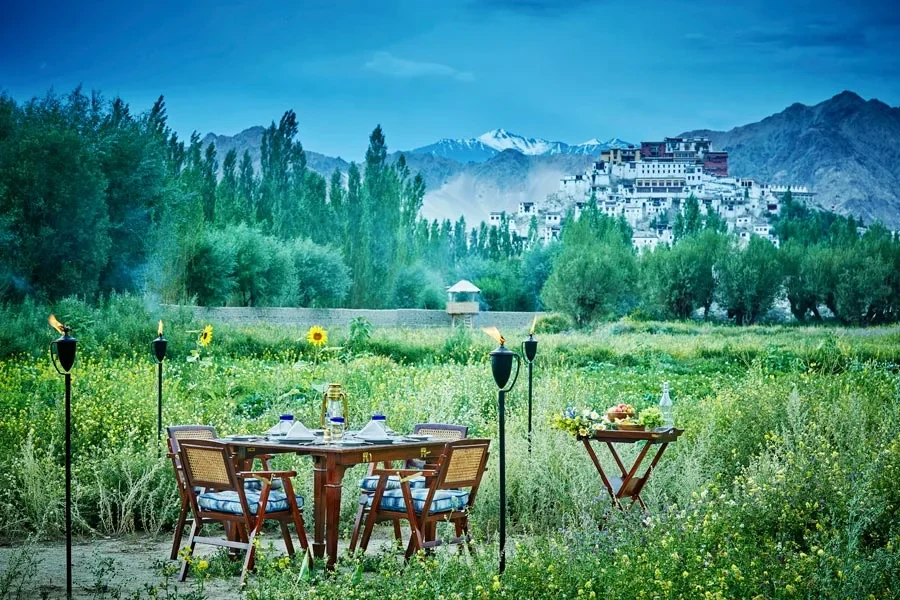 IN - Chamba Camp - Pvt dining in veggie garden.webp