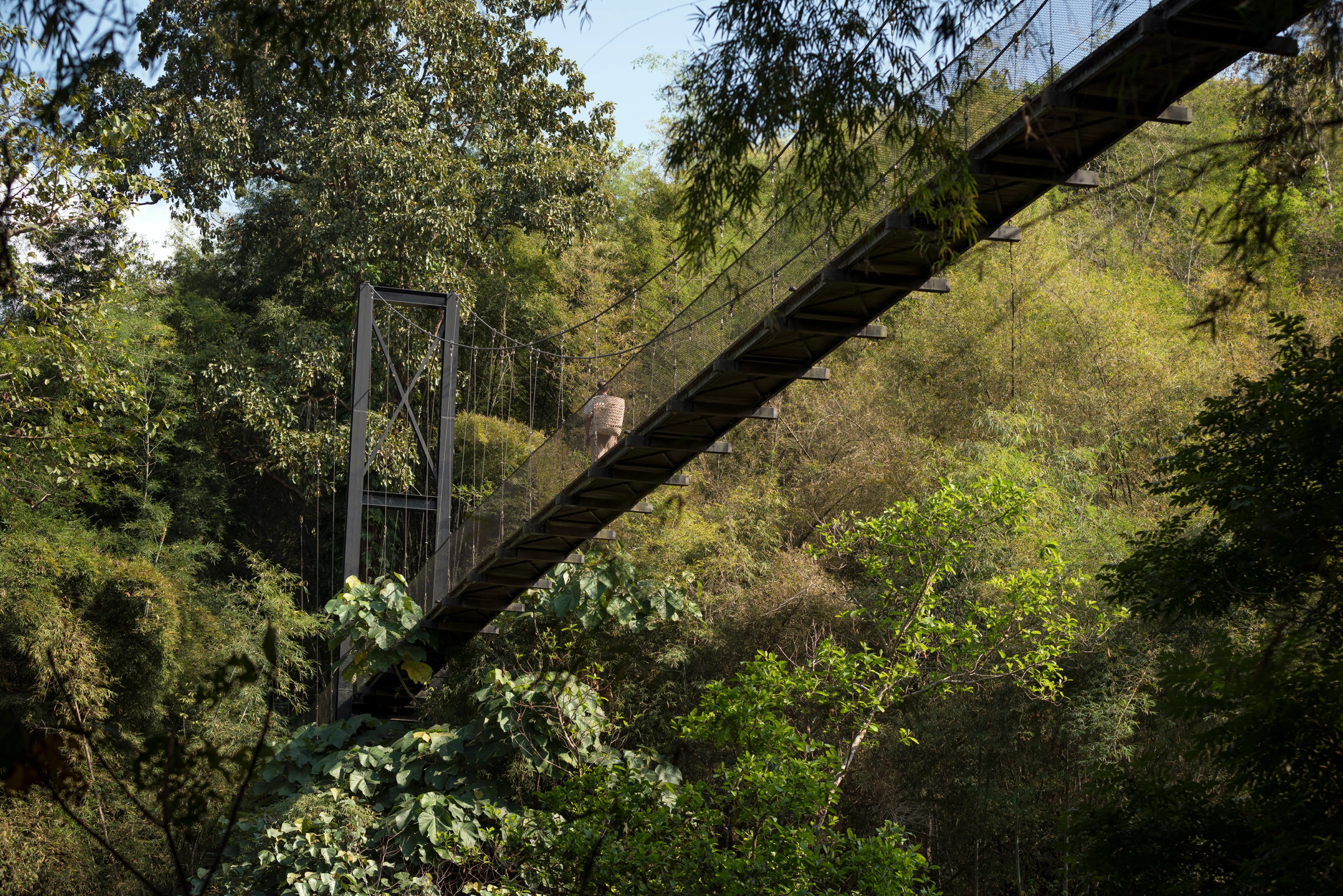 TH - Four Seasons Golden Triangle - Canopy.webp
