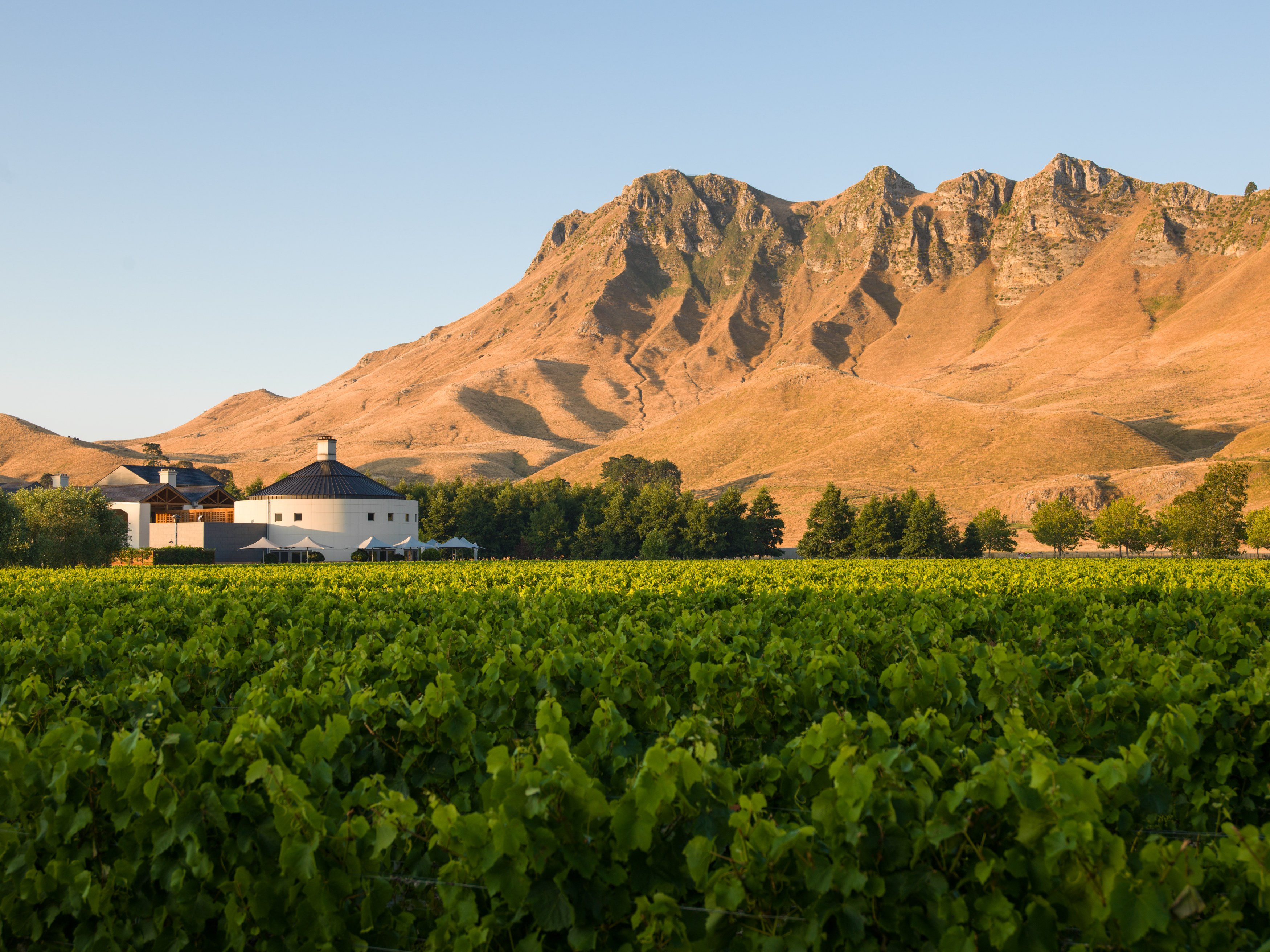 NZ-Accommodatie-Craggy-Range-Surroundings.jpg
