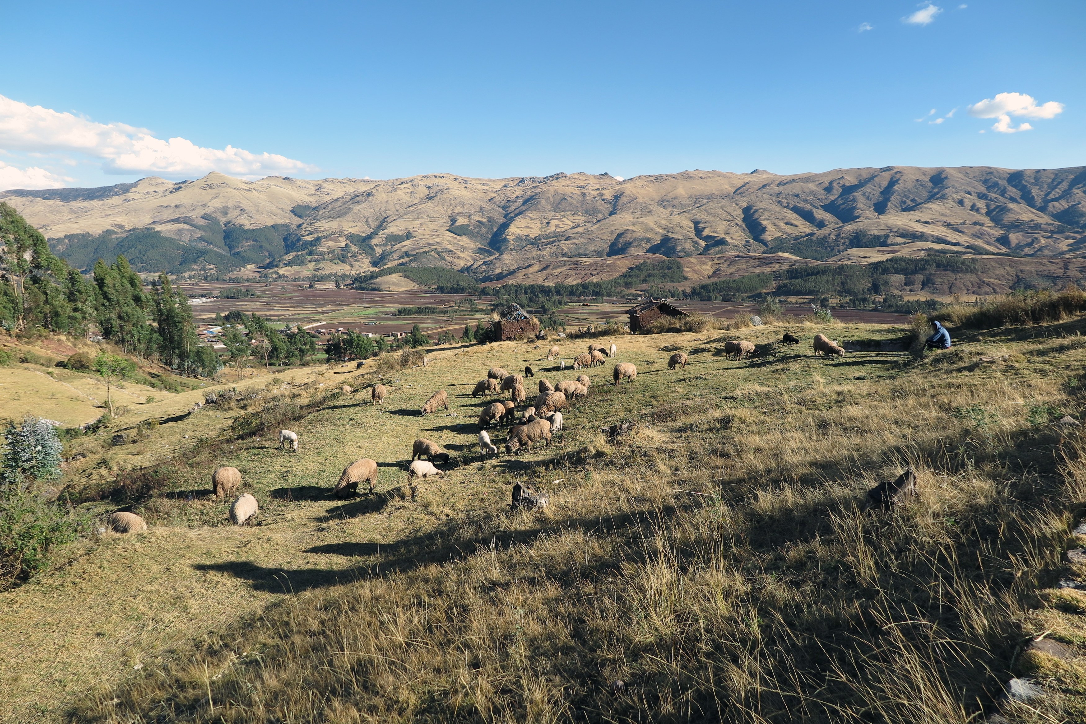 lorettalynn-sacred-valley-563123.jpg