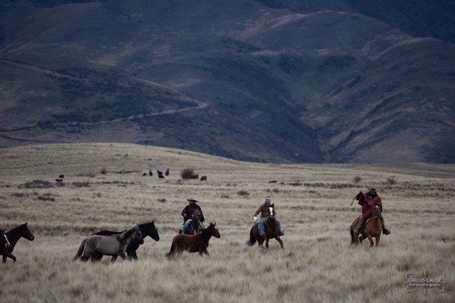 ESTANCIA LA CARRERA-MENDOZA.jpg