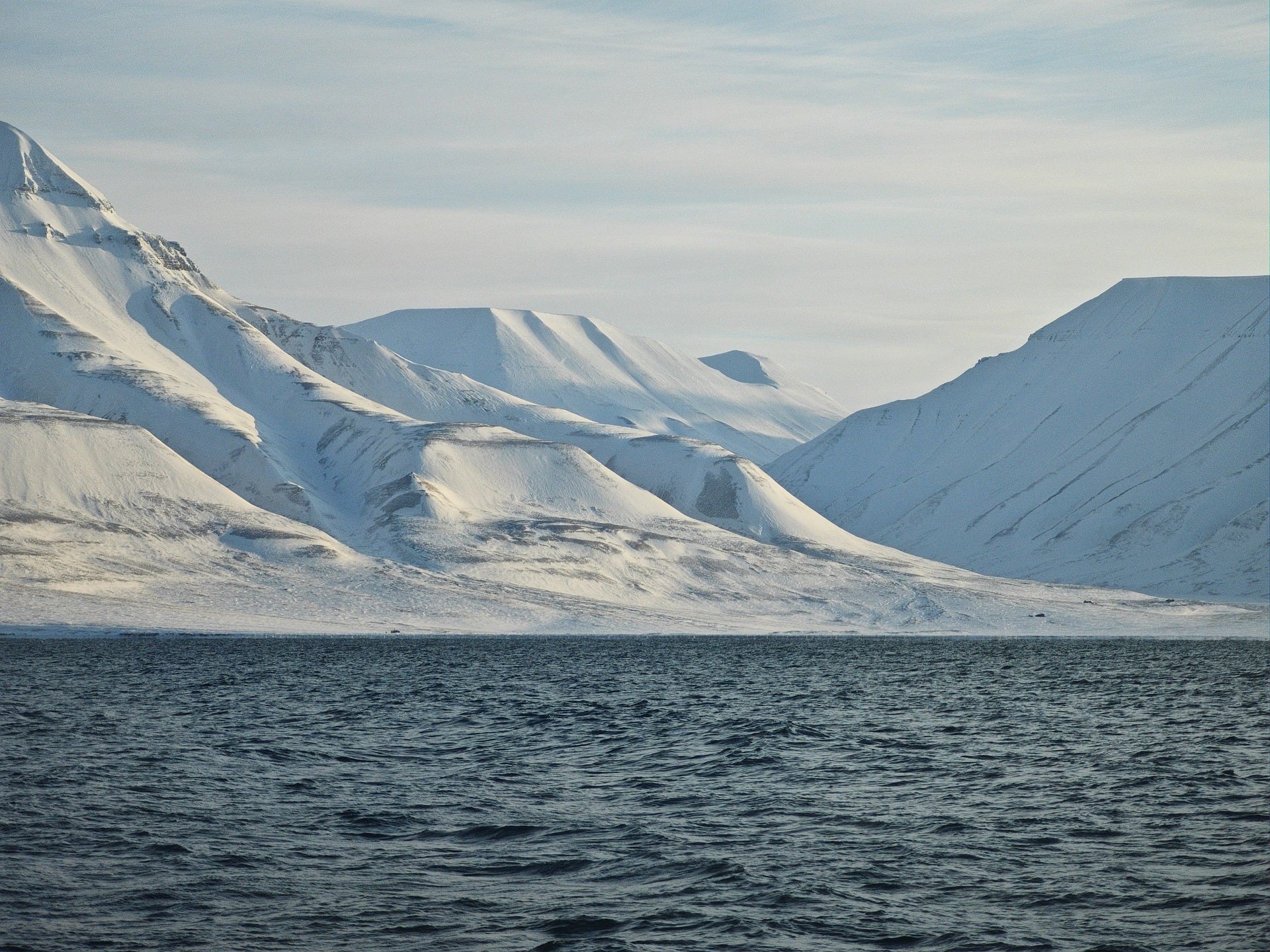 NP-Sylvia Earle Cruise - Svalbard Spitsbergen.jpg