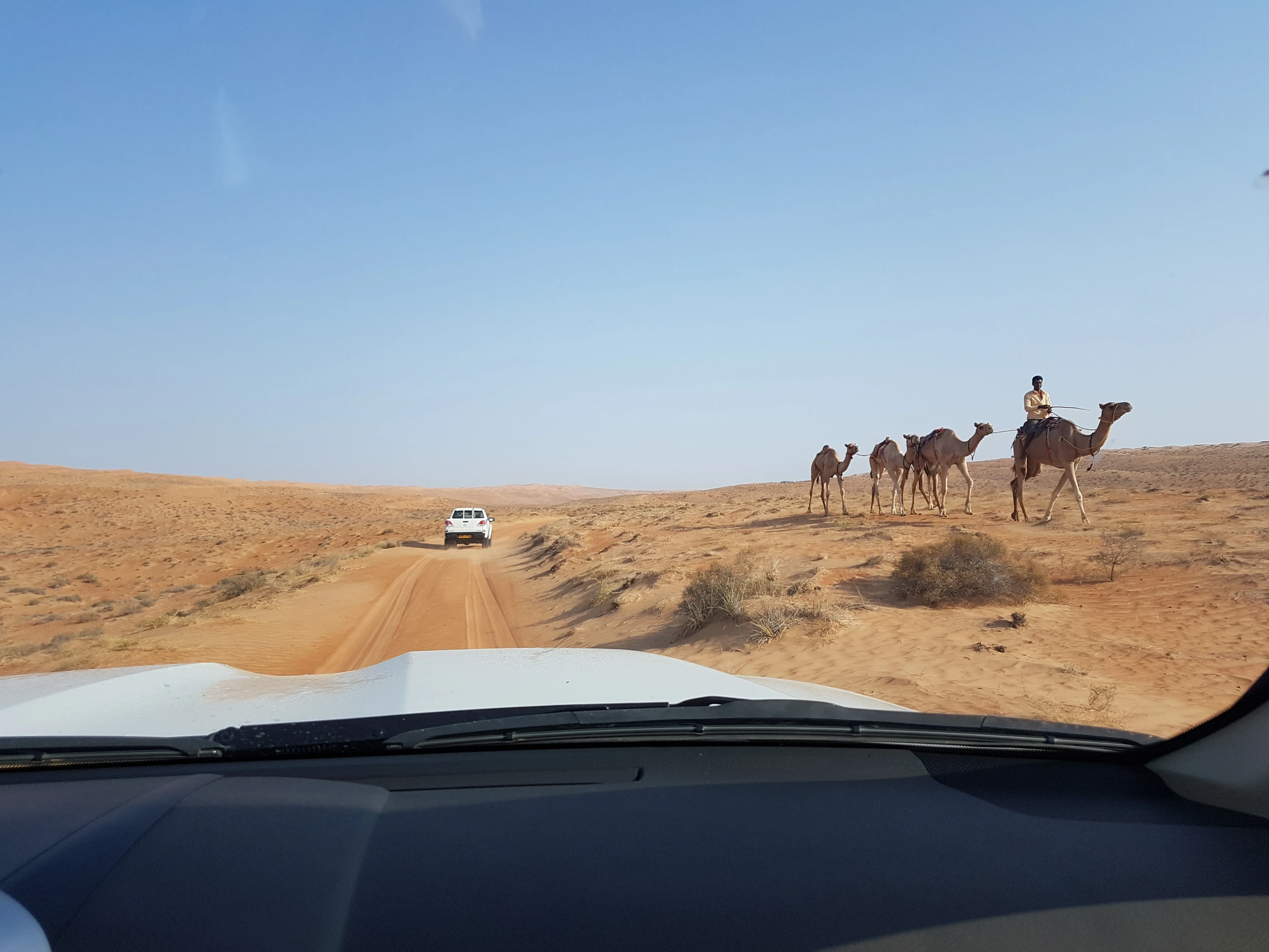 OM - Canvas Camp - Drive to camp.webp