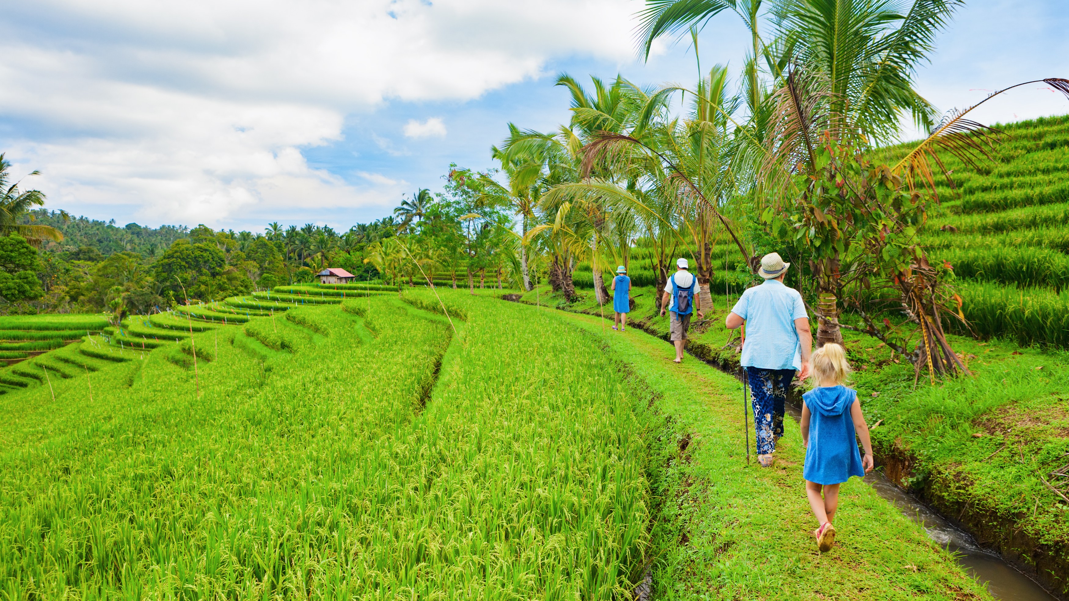 ID-Kids Rijstterras-Bali-Shutterstock.jpg