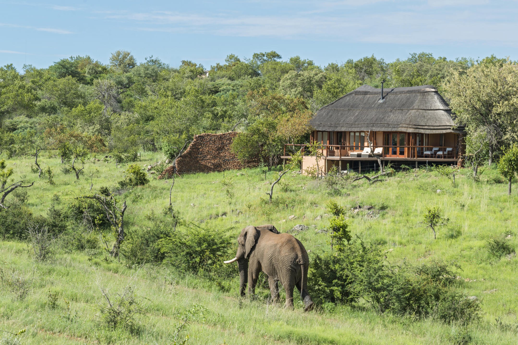 ZA-The Royal Madikwe-Korone Suite overview.jpg