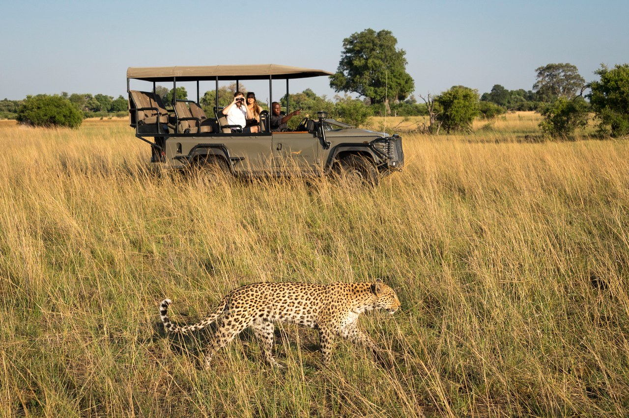 BW-Vumbura Plains-game drive cheetah.jpg