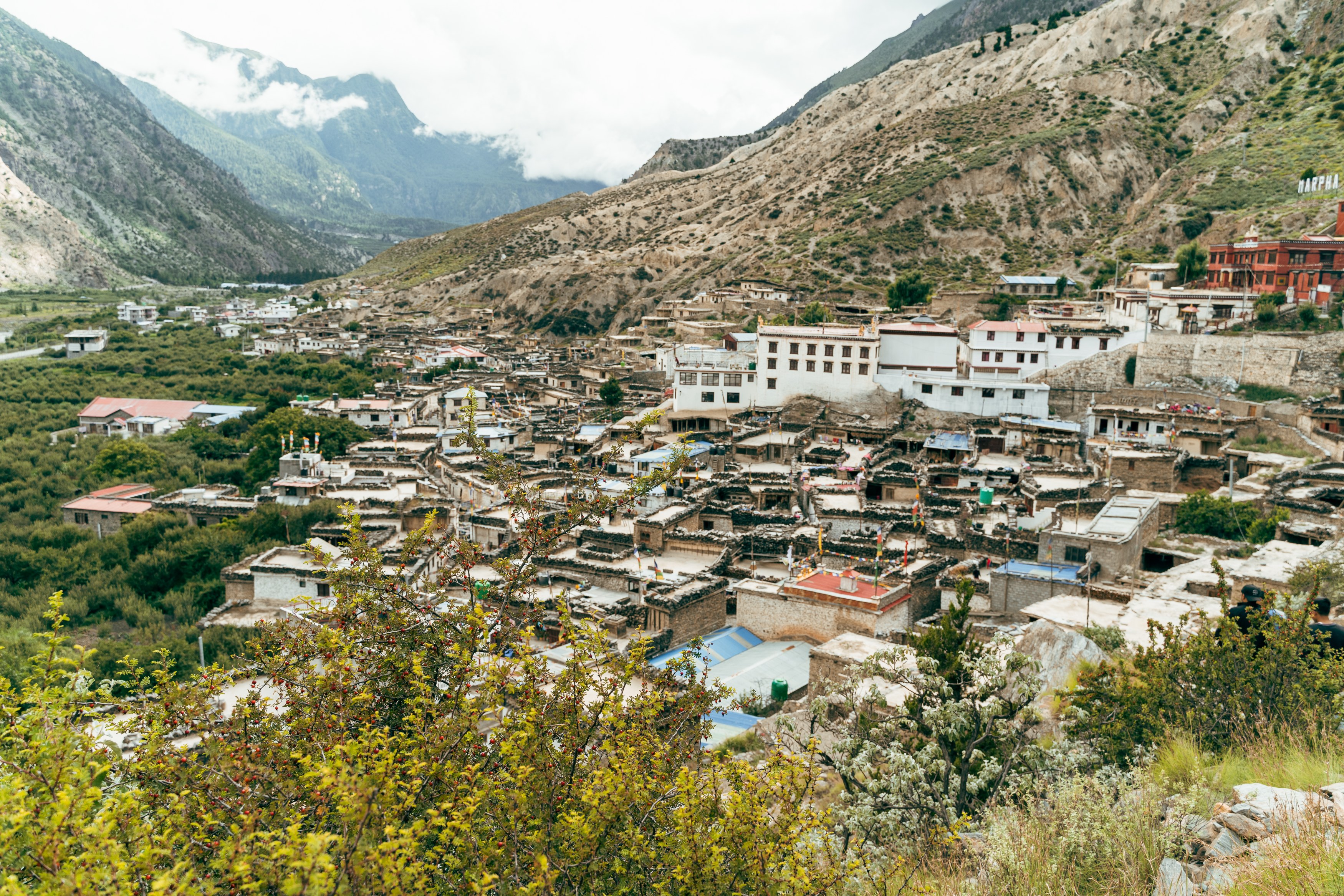NP - Shinta Mani Mustang - Marpha Village (8).jpg