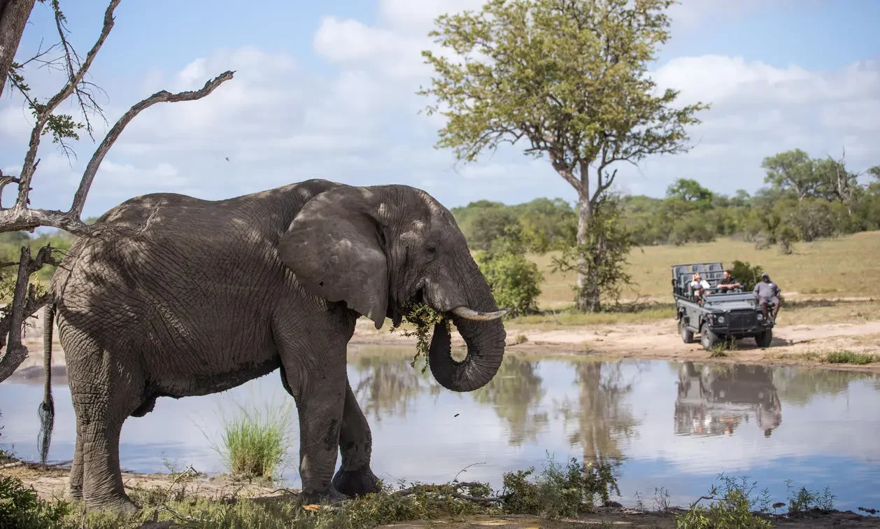 ZA-Accommodatie-Silvan-Safari-Lodge-safari.webp