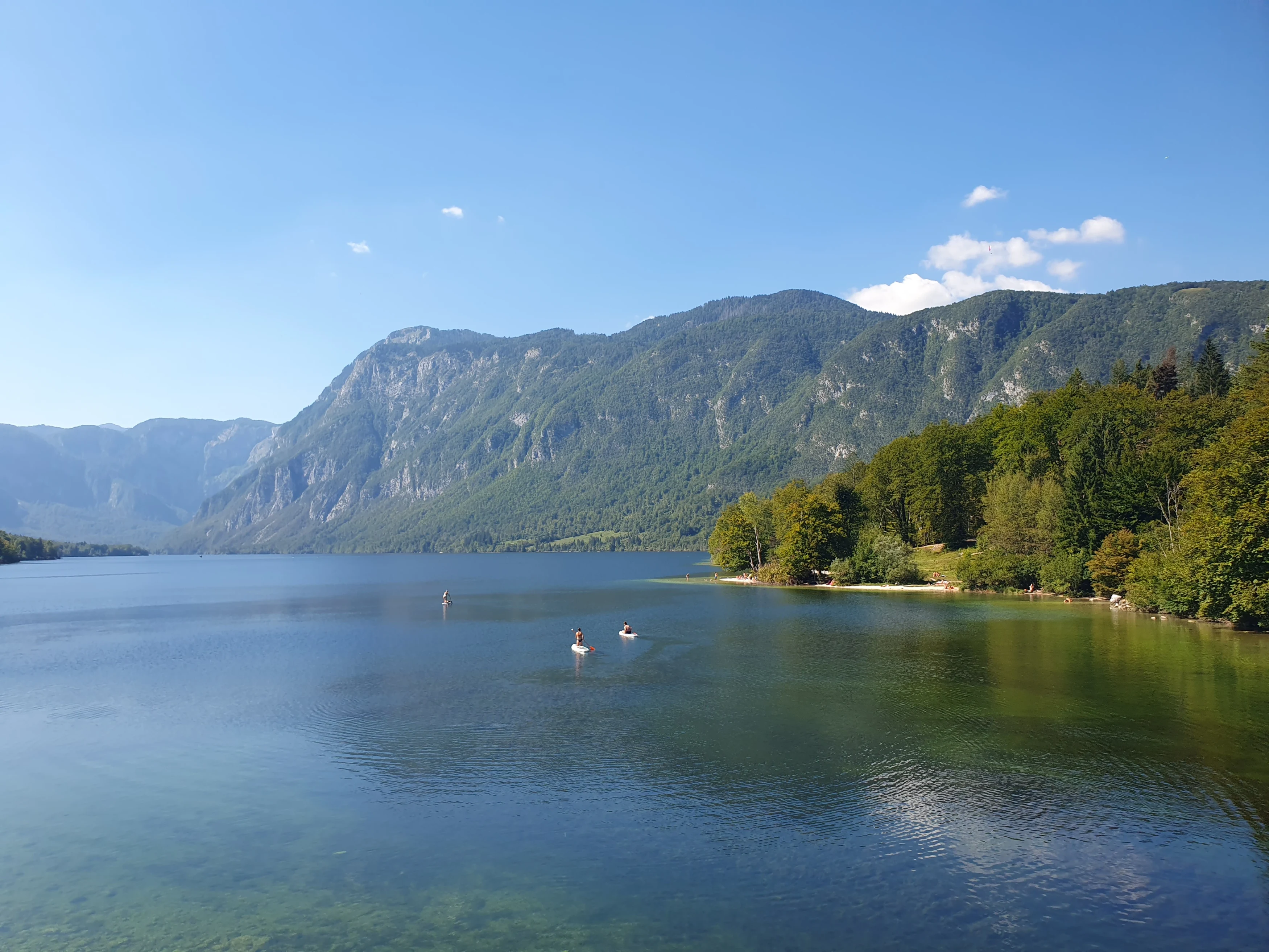 SI-studiereis-Slovenië-Lake Bohinj.webp