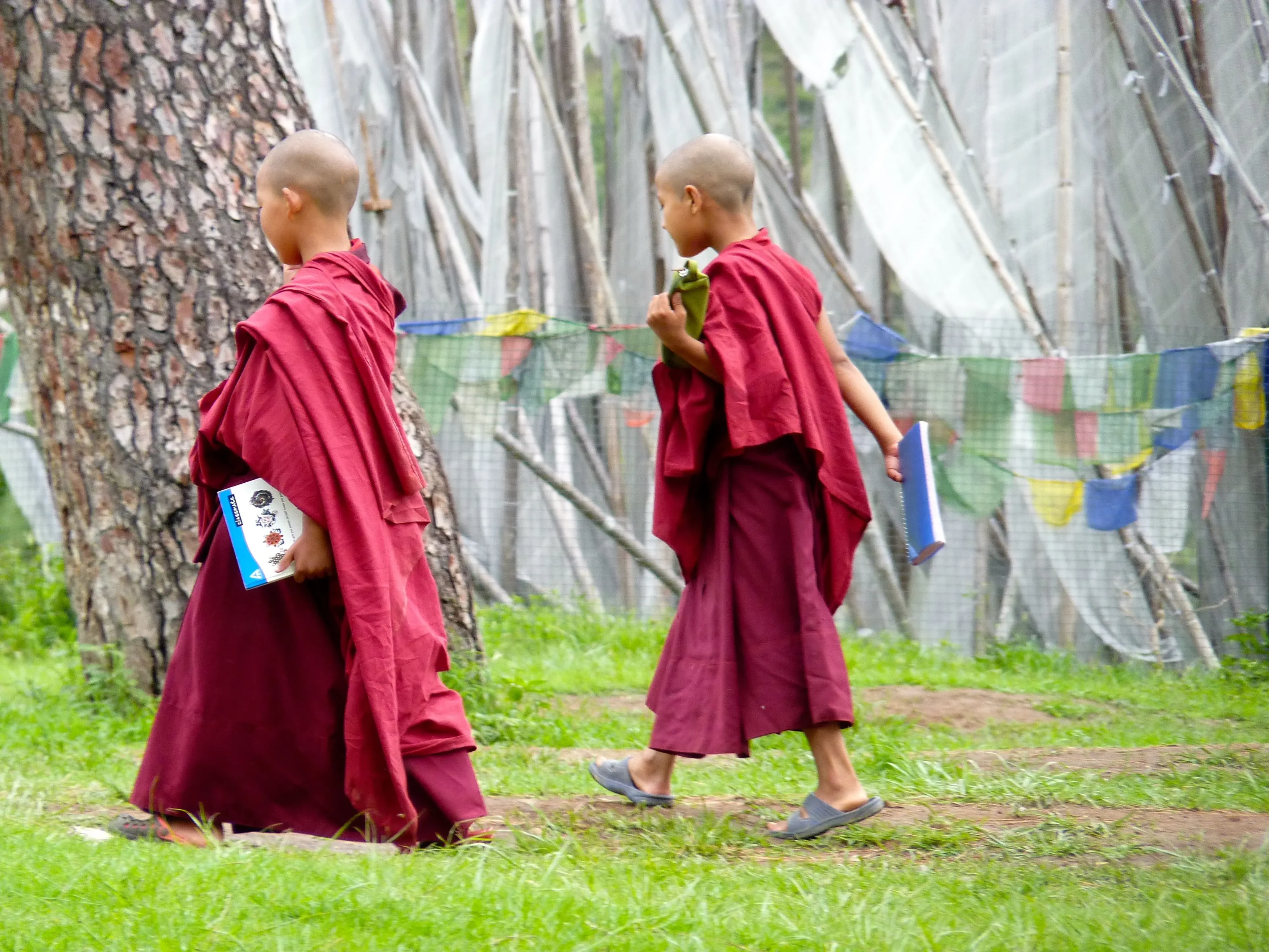 BT-Punakha-MonnikkenbijChimiLakhang (3).webp