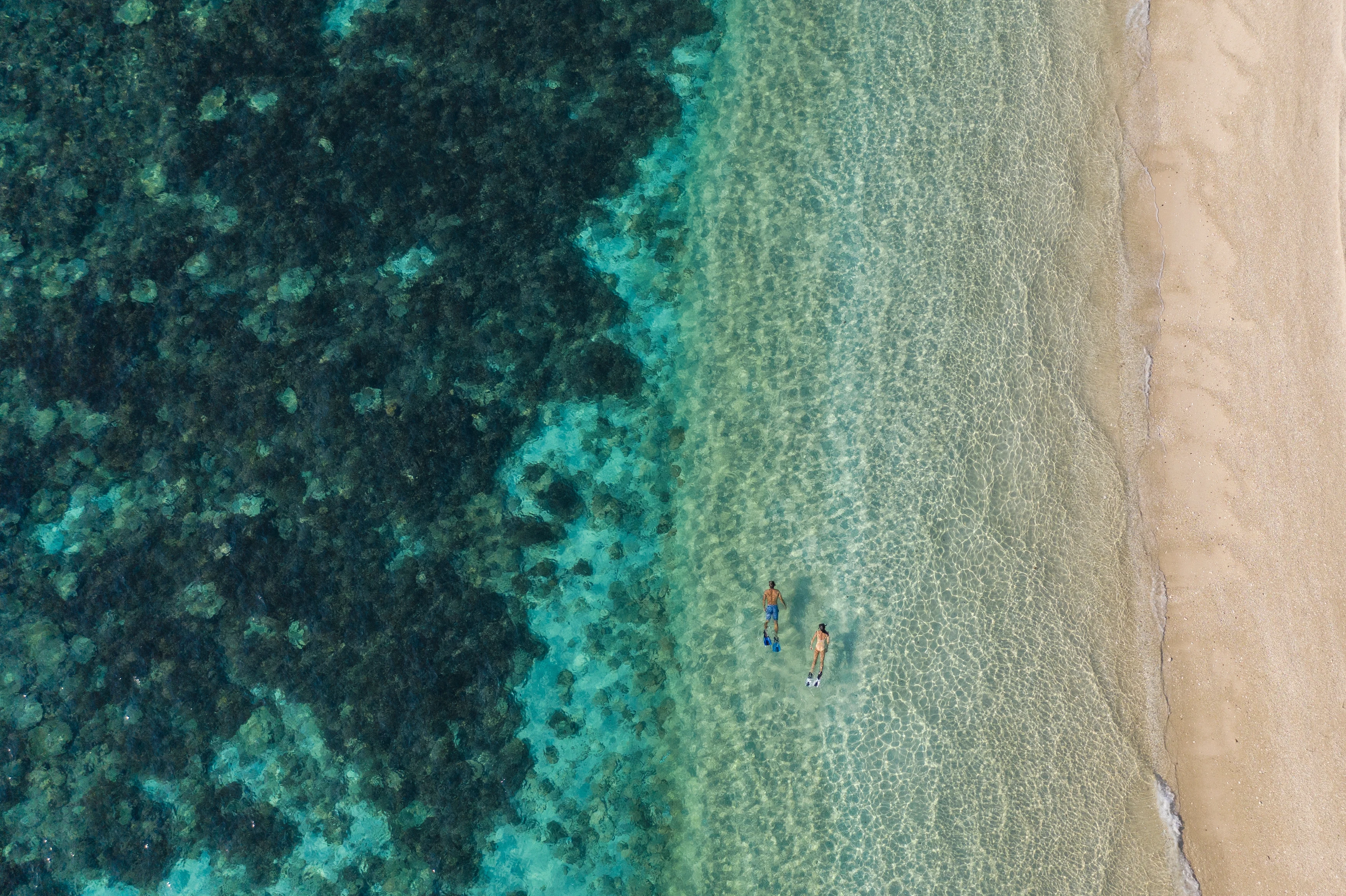 VN - Six Senses Ninh Van Bay - Island_Snorkelling.webp