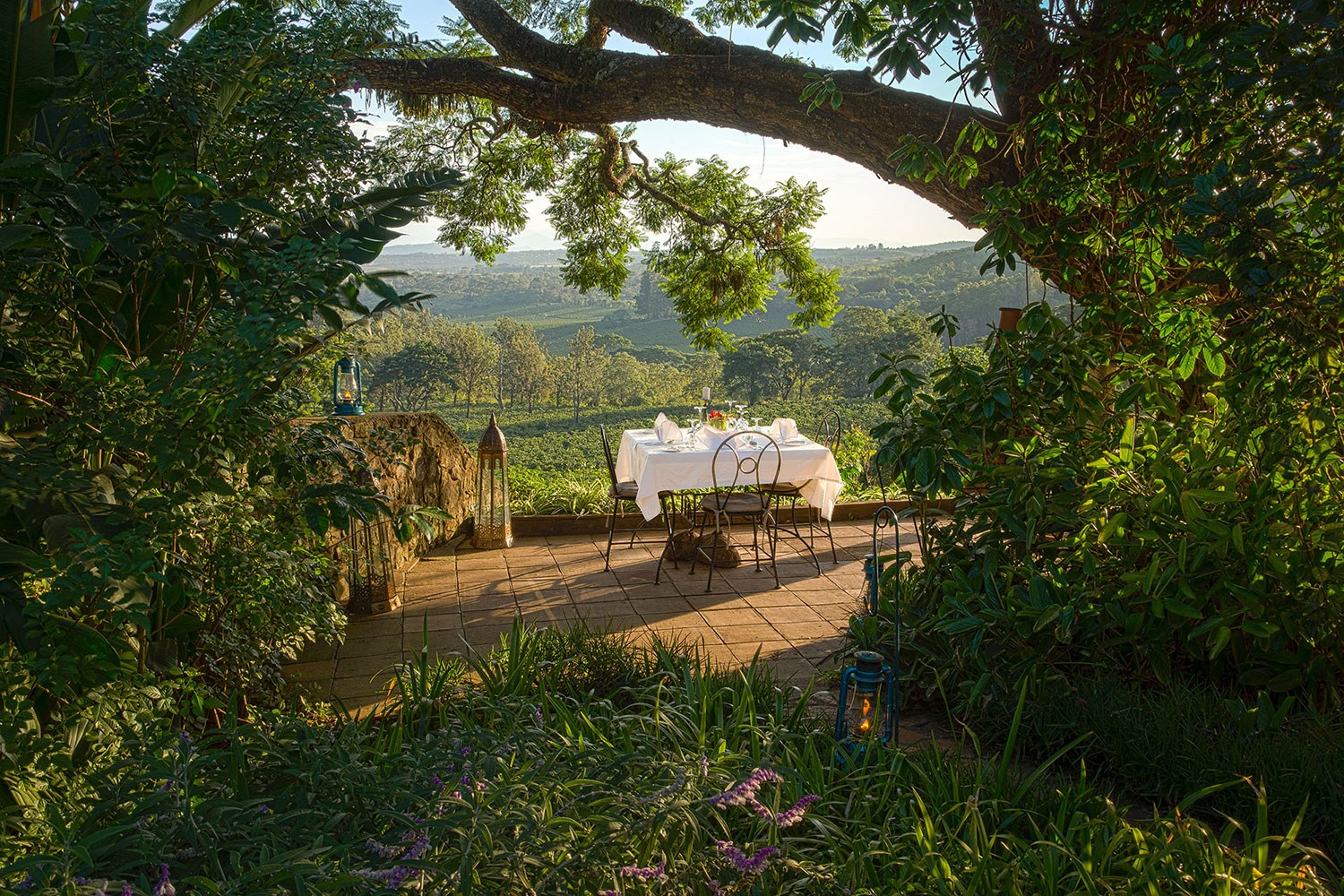 TZ-Gibbs Farm-dining outdoors.jpg