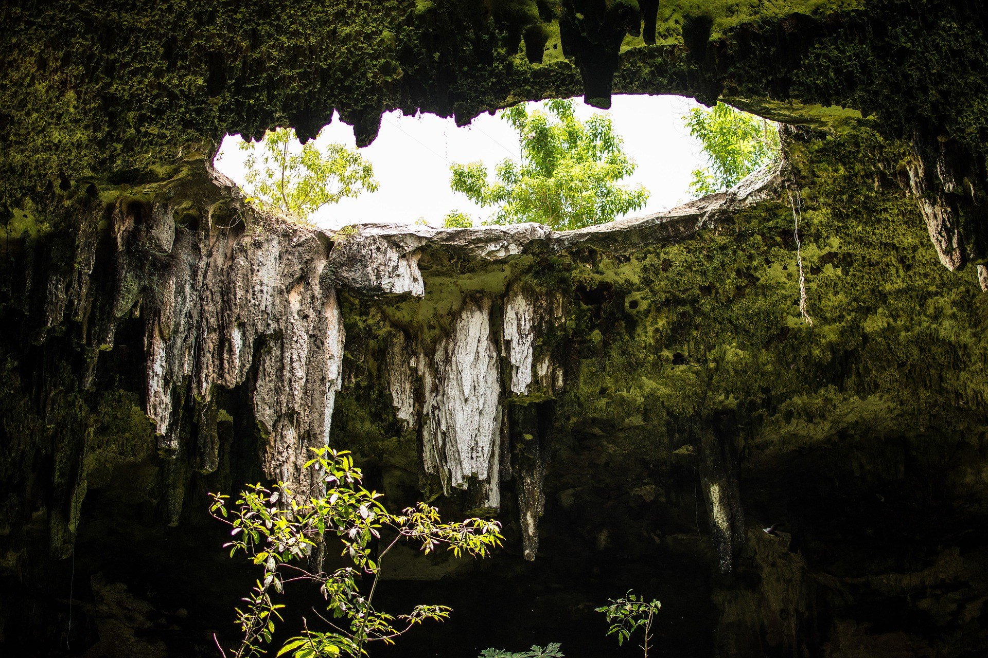 MX - Mexico - Cave, Cenote (Pixabay).jpg