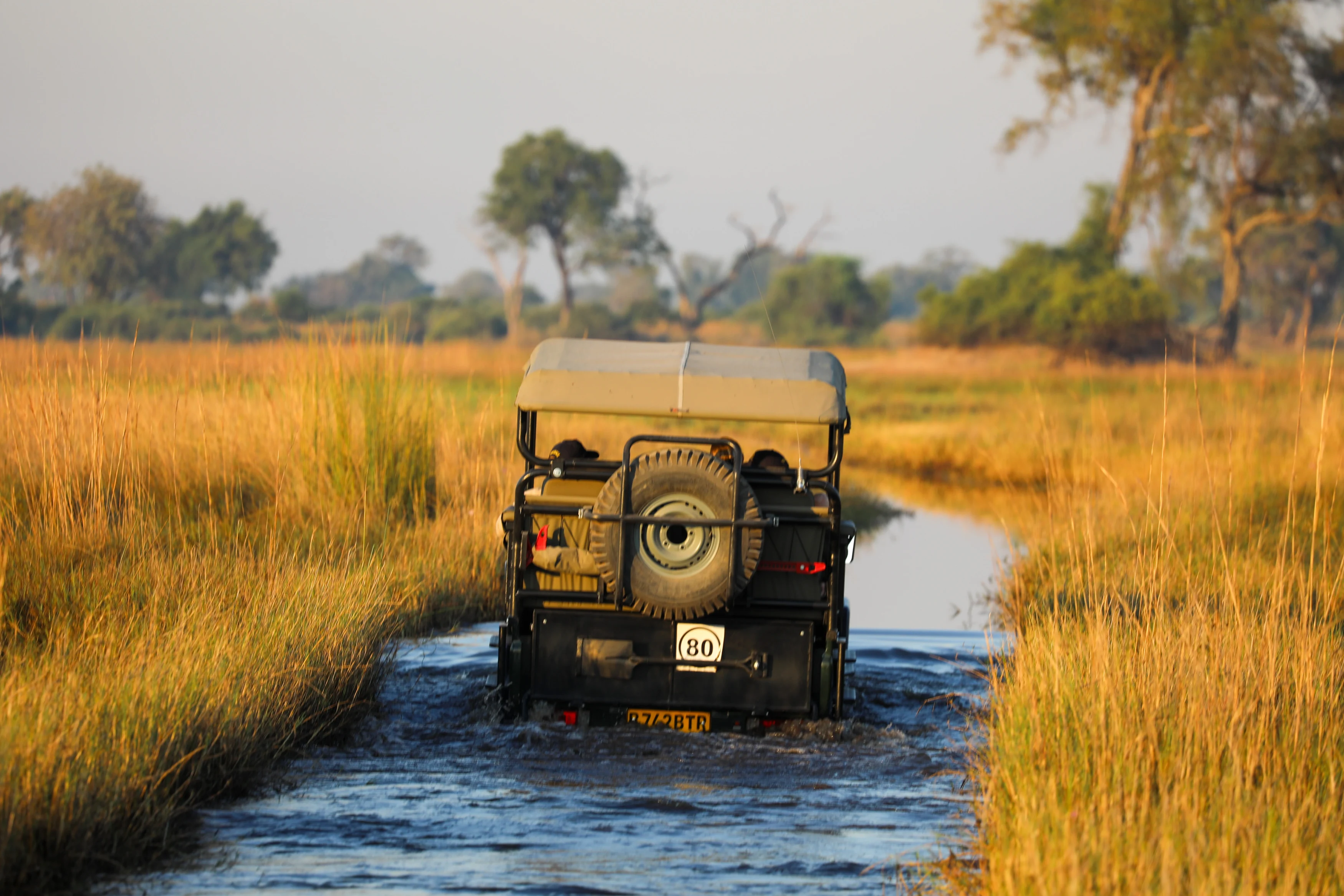 Duba Plains (15).webp